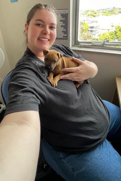 image-7