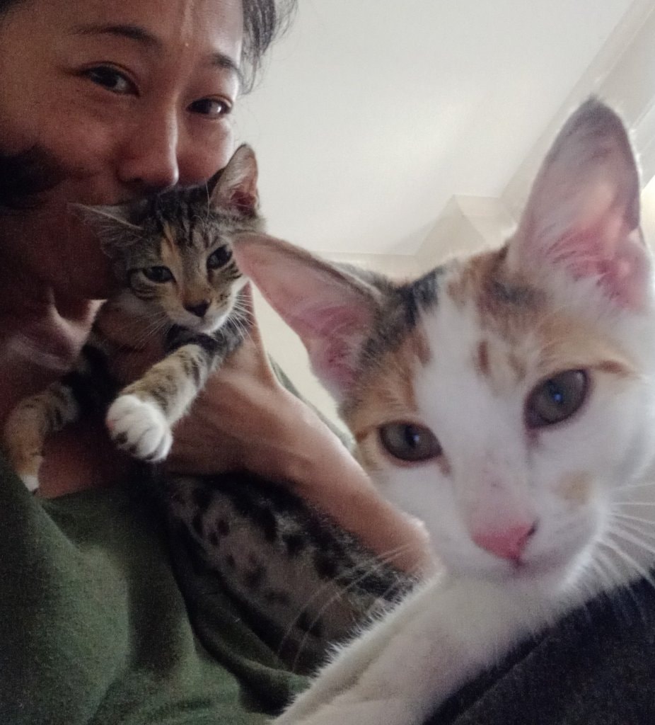 image-8
