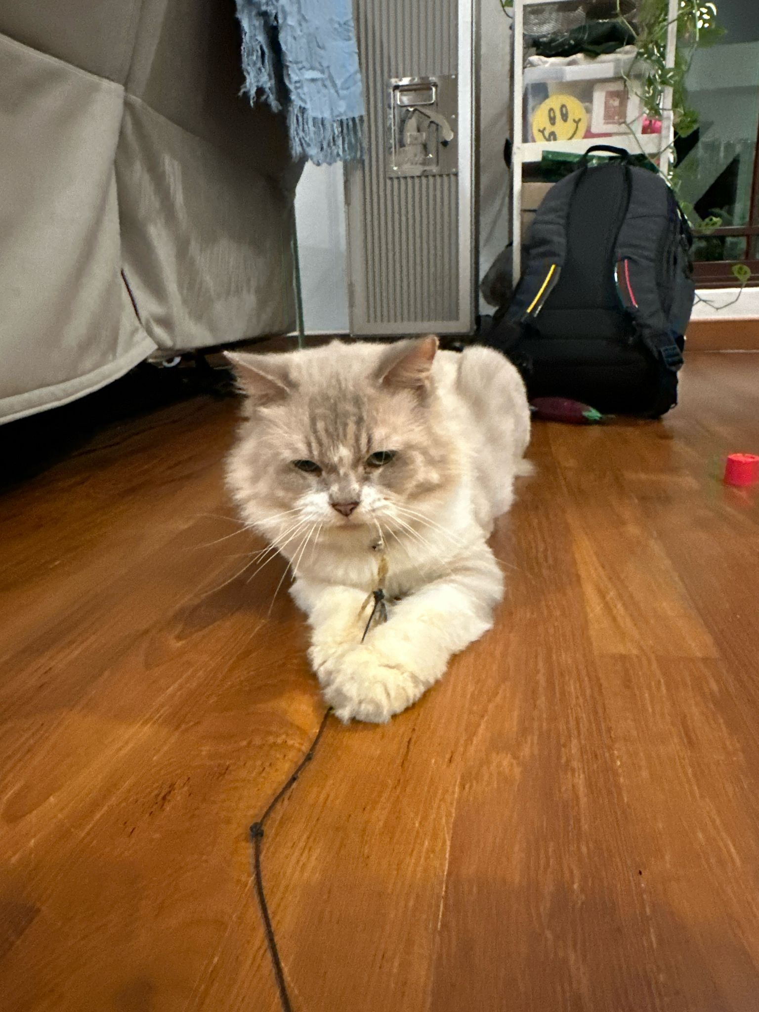 image-9