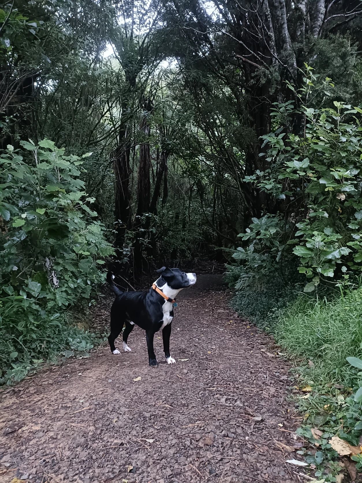 image-16