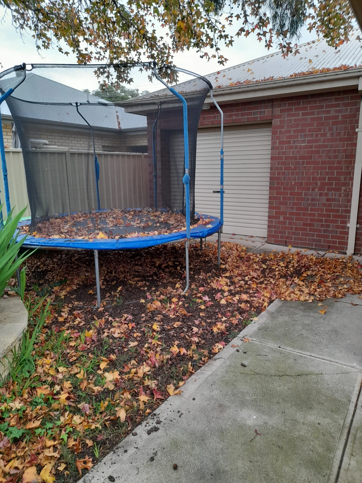 image-19