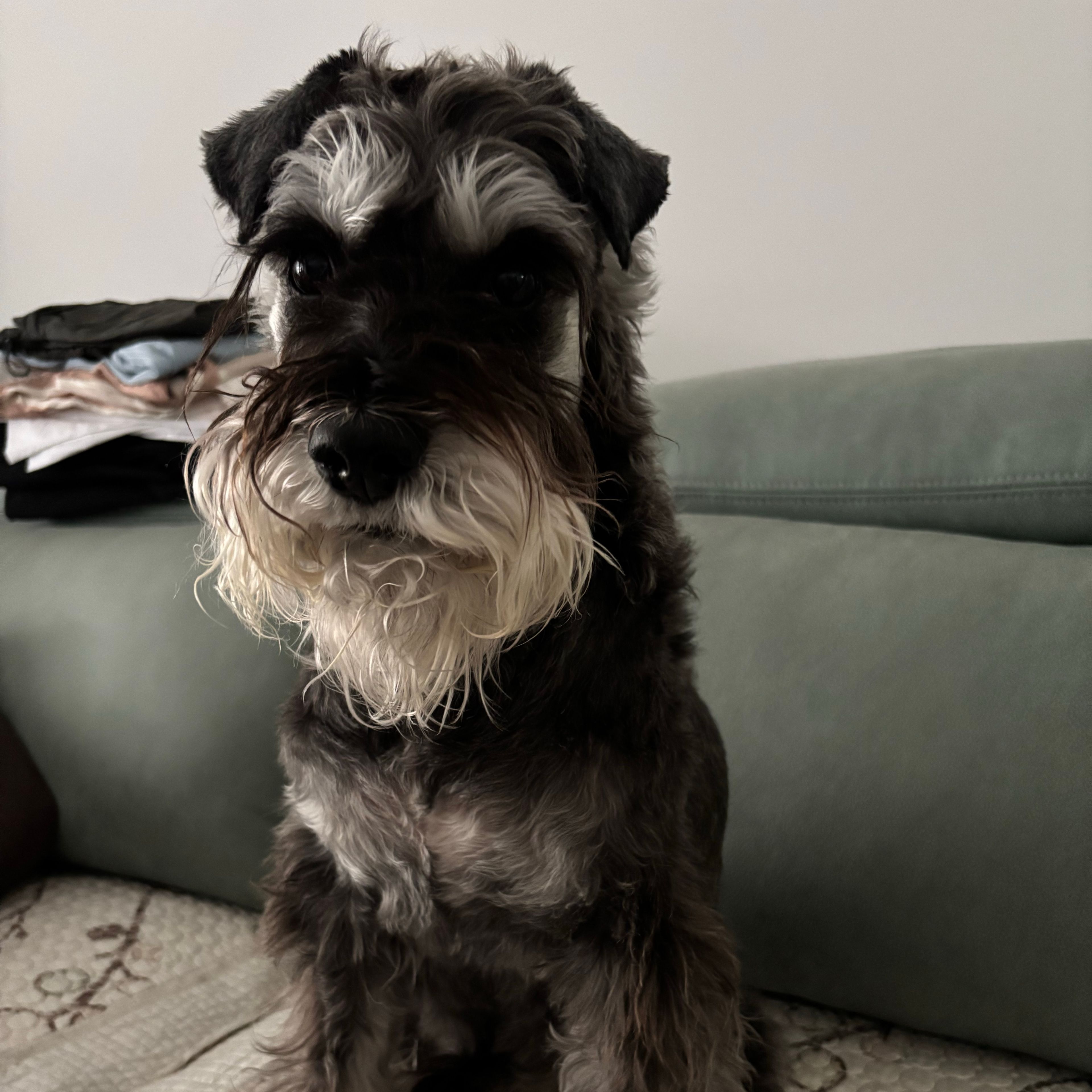 DuoDuo
