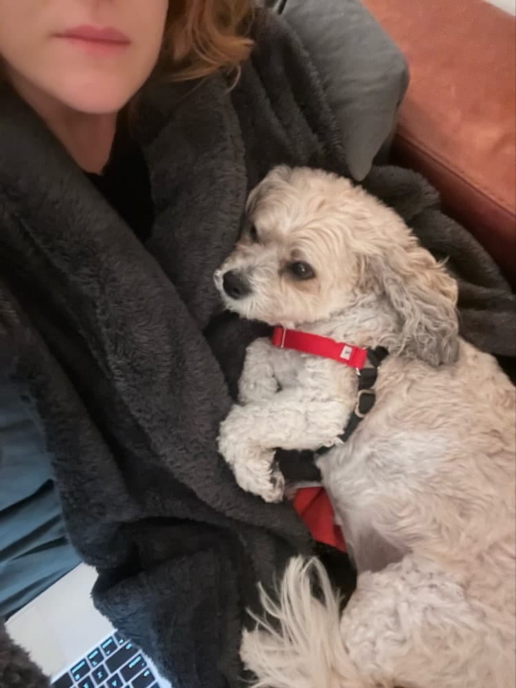 image-8