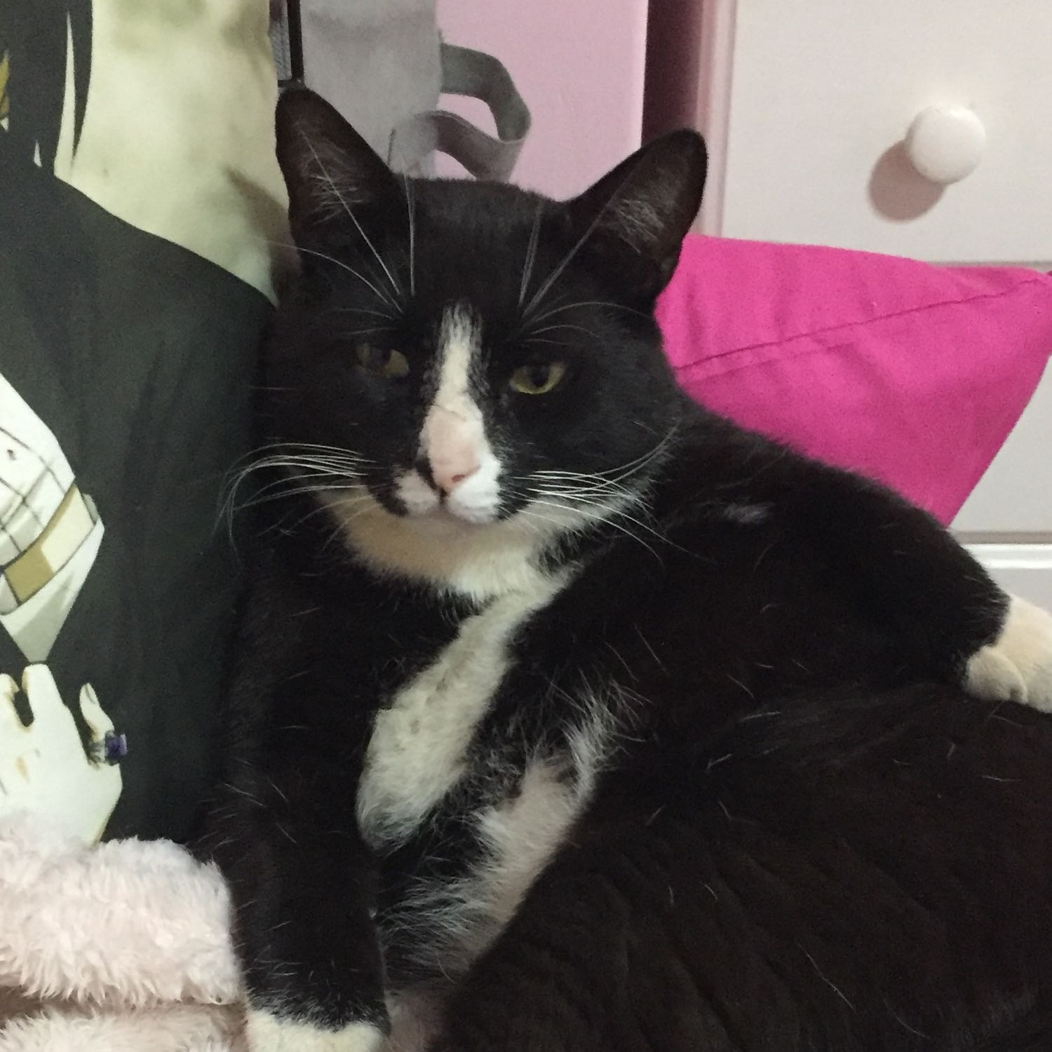 Tux