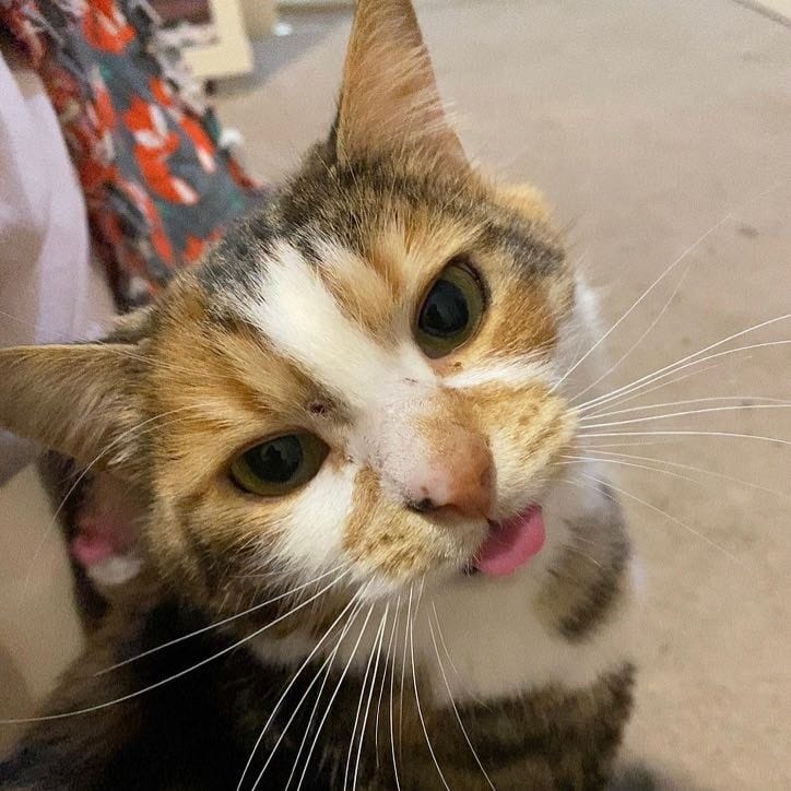 Juno