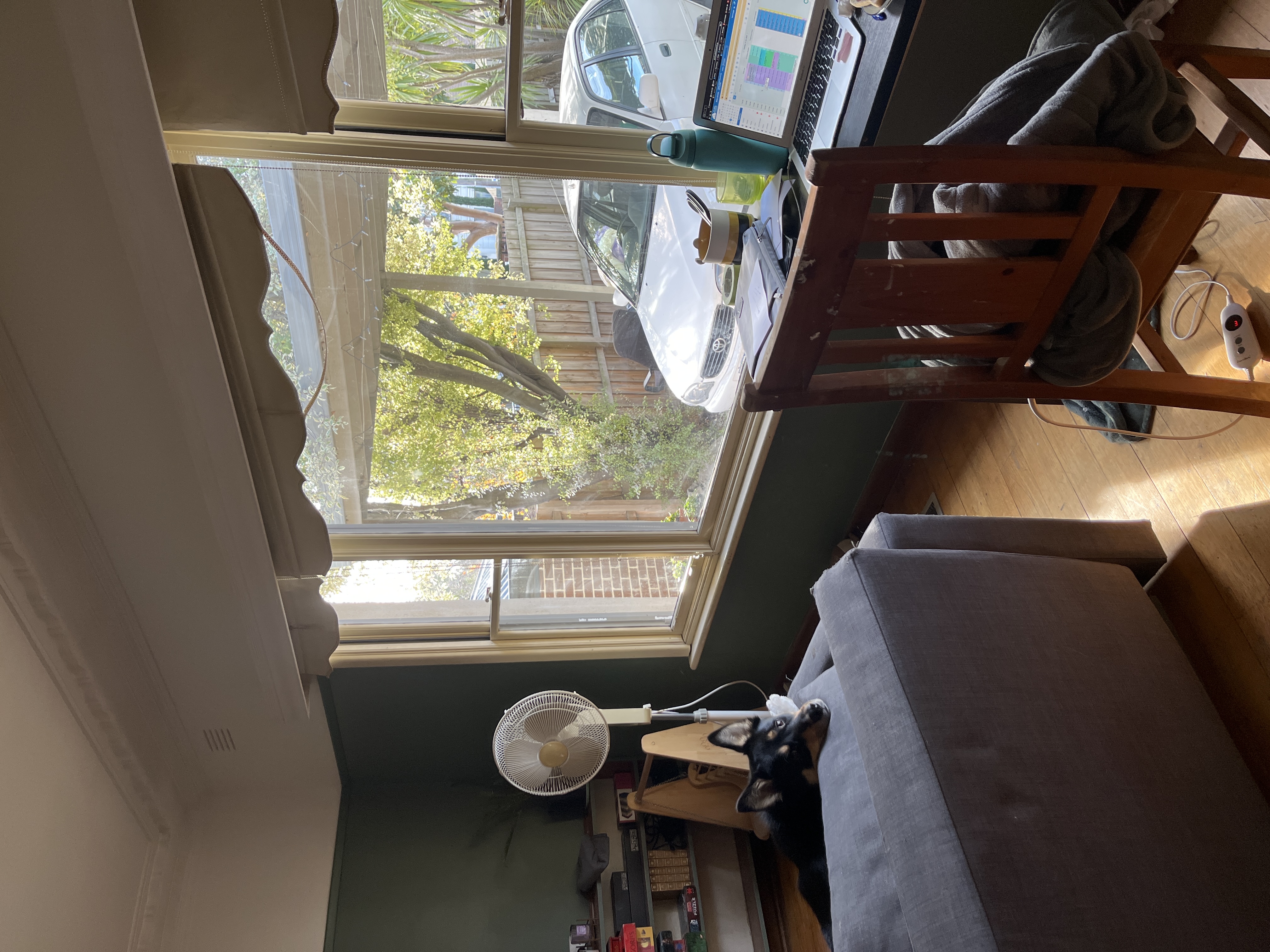 image-20