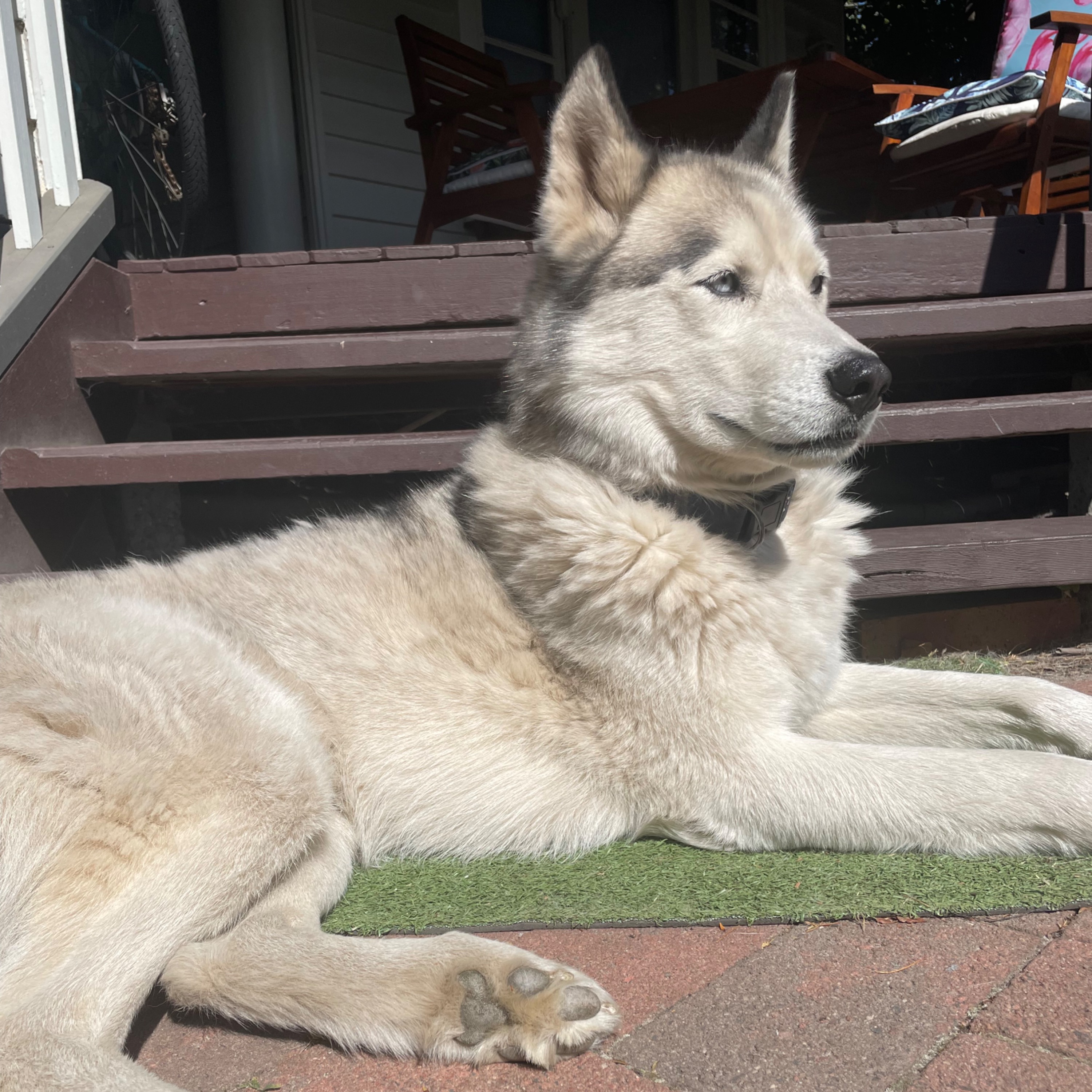 thor