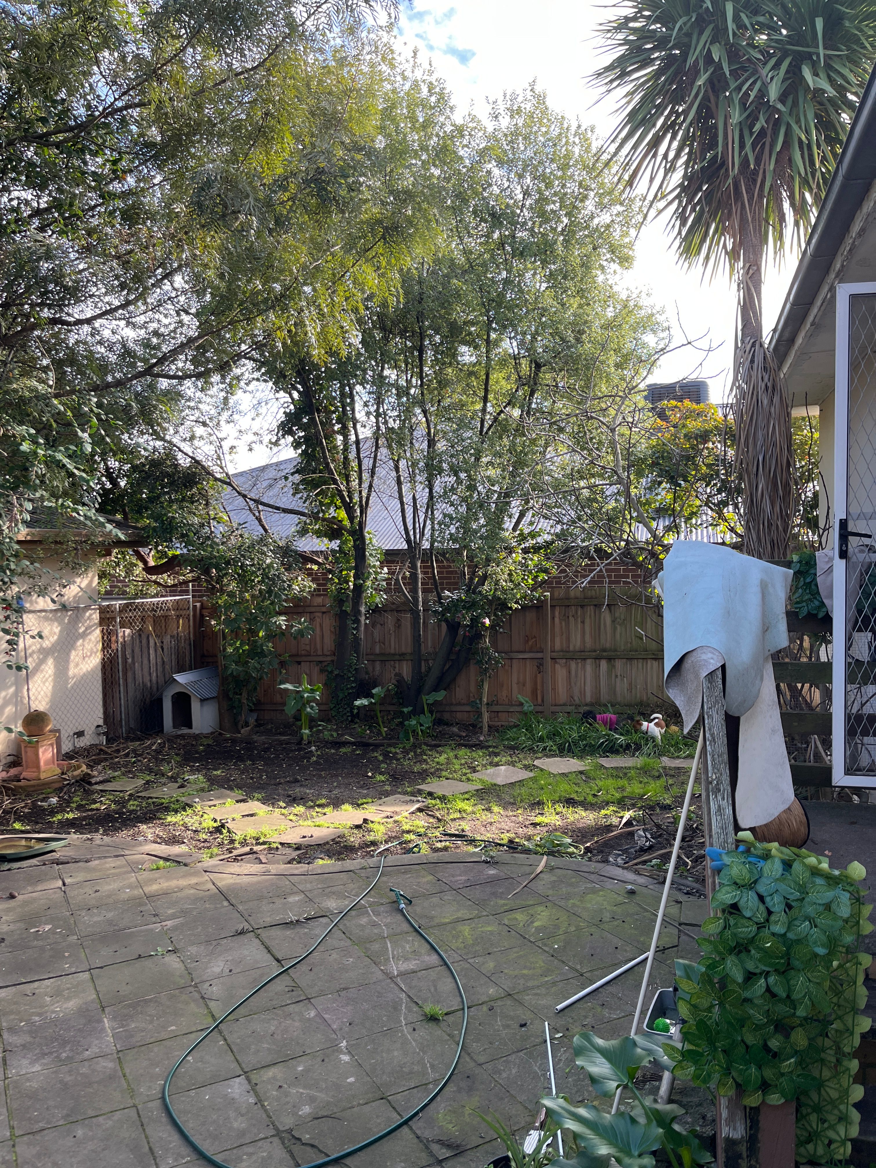 image-19