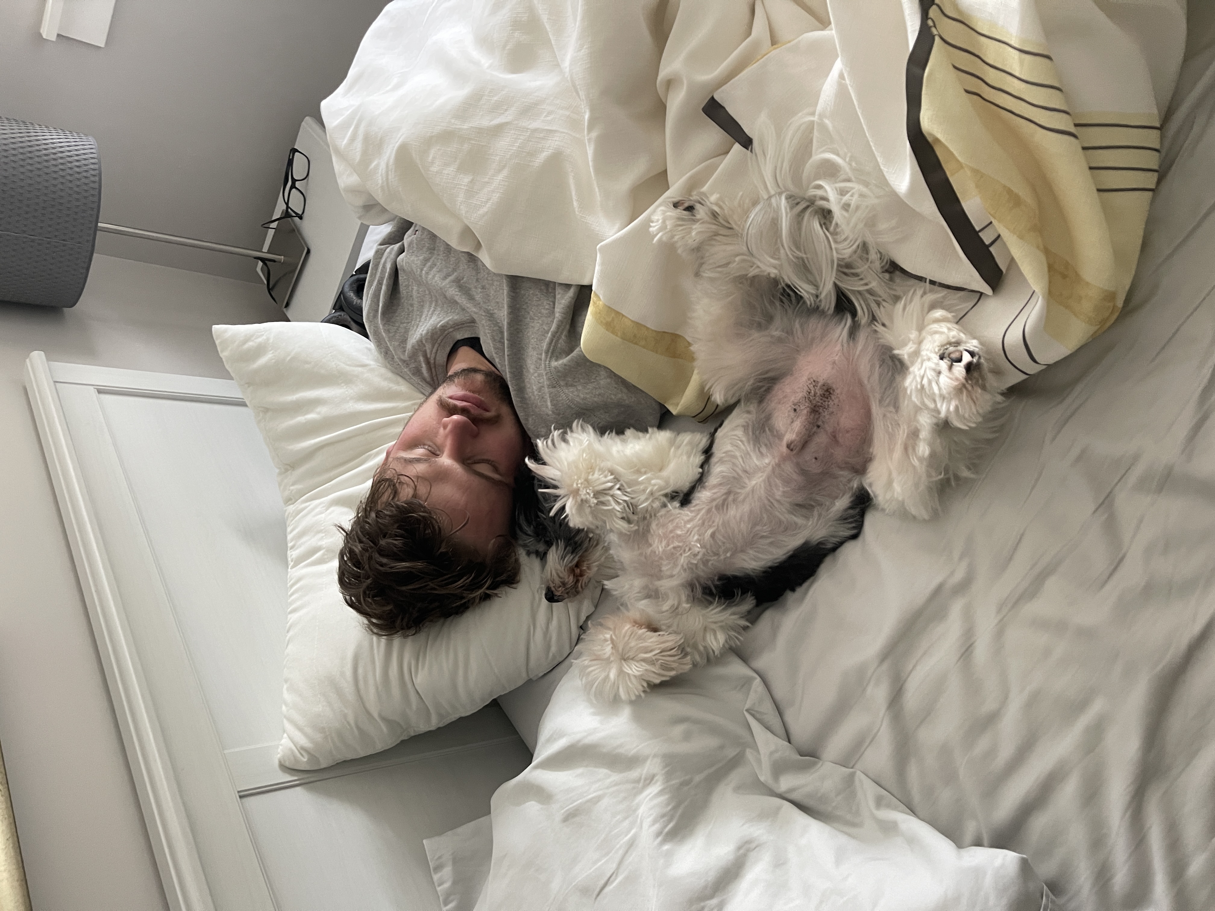 image-6