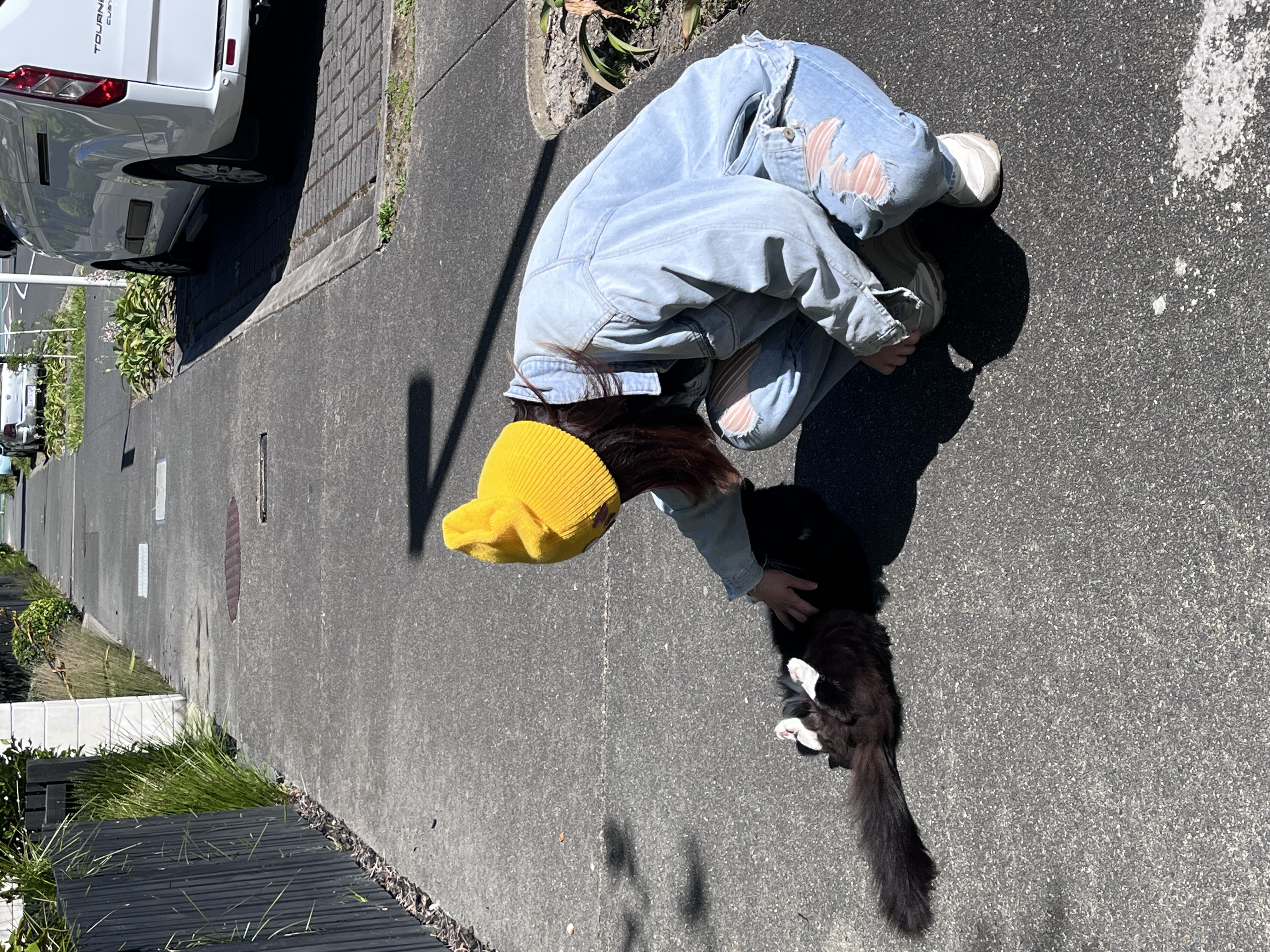 image-5