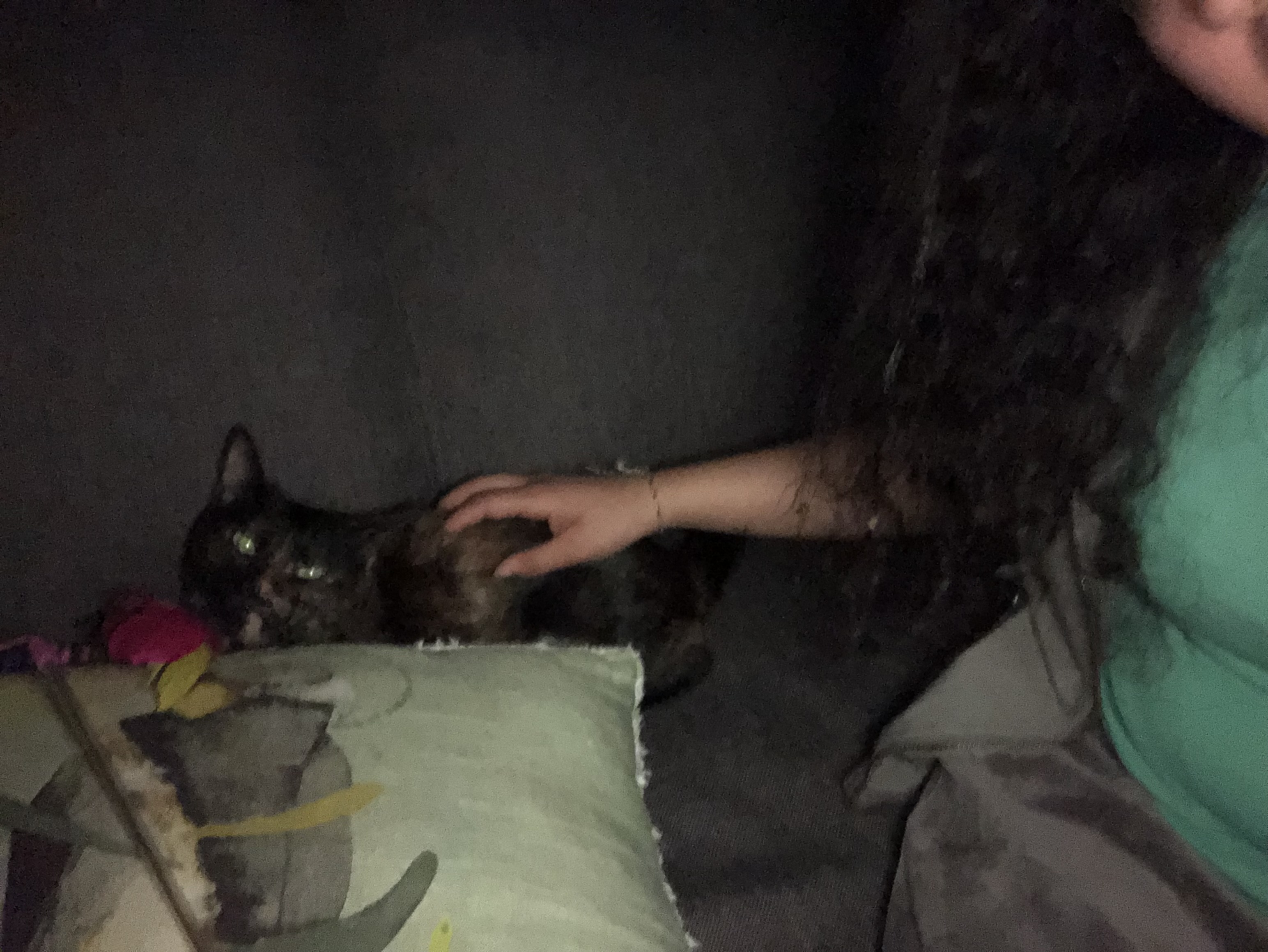 image-6