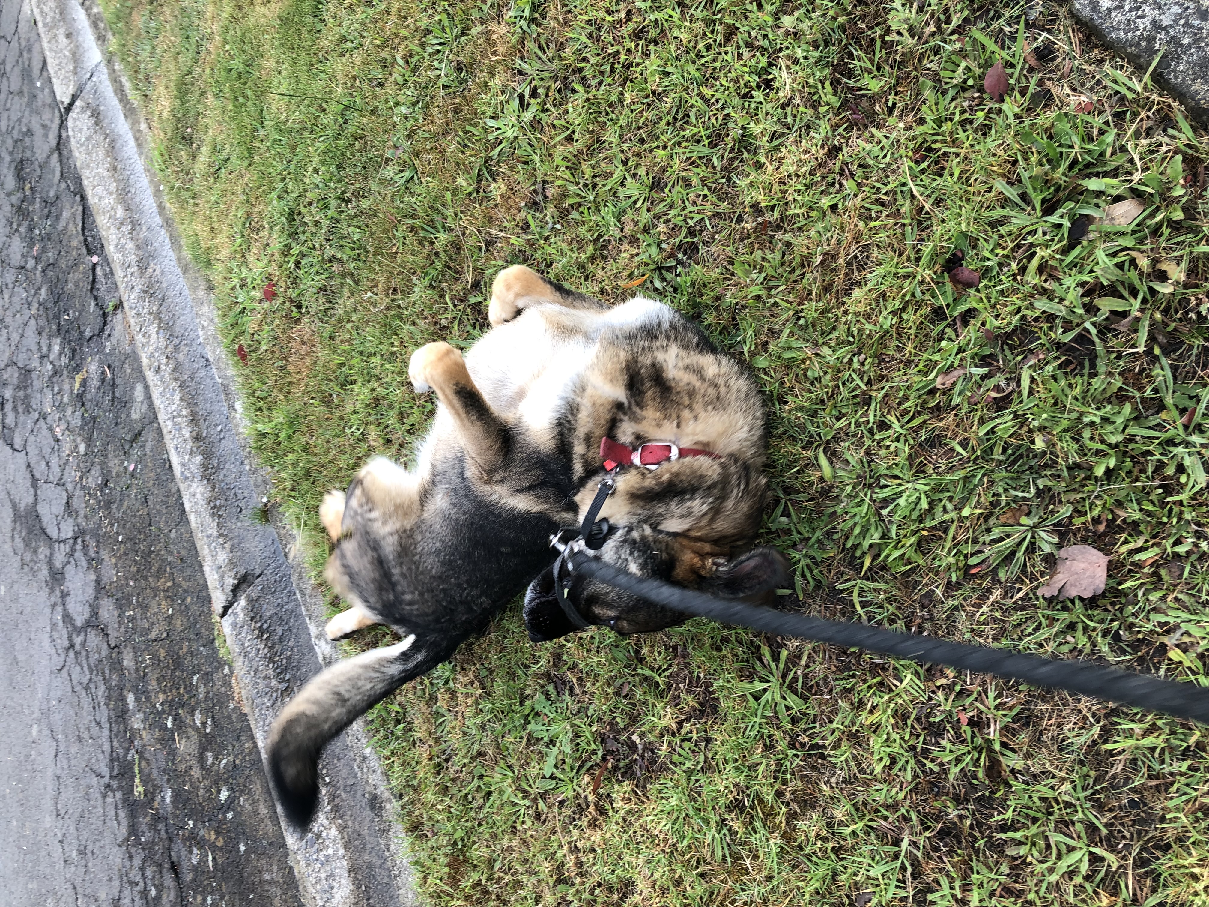 image-9