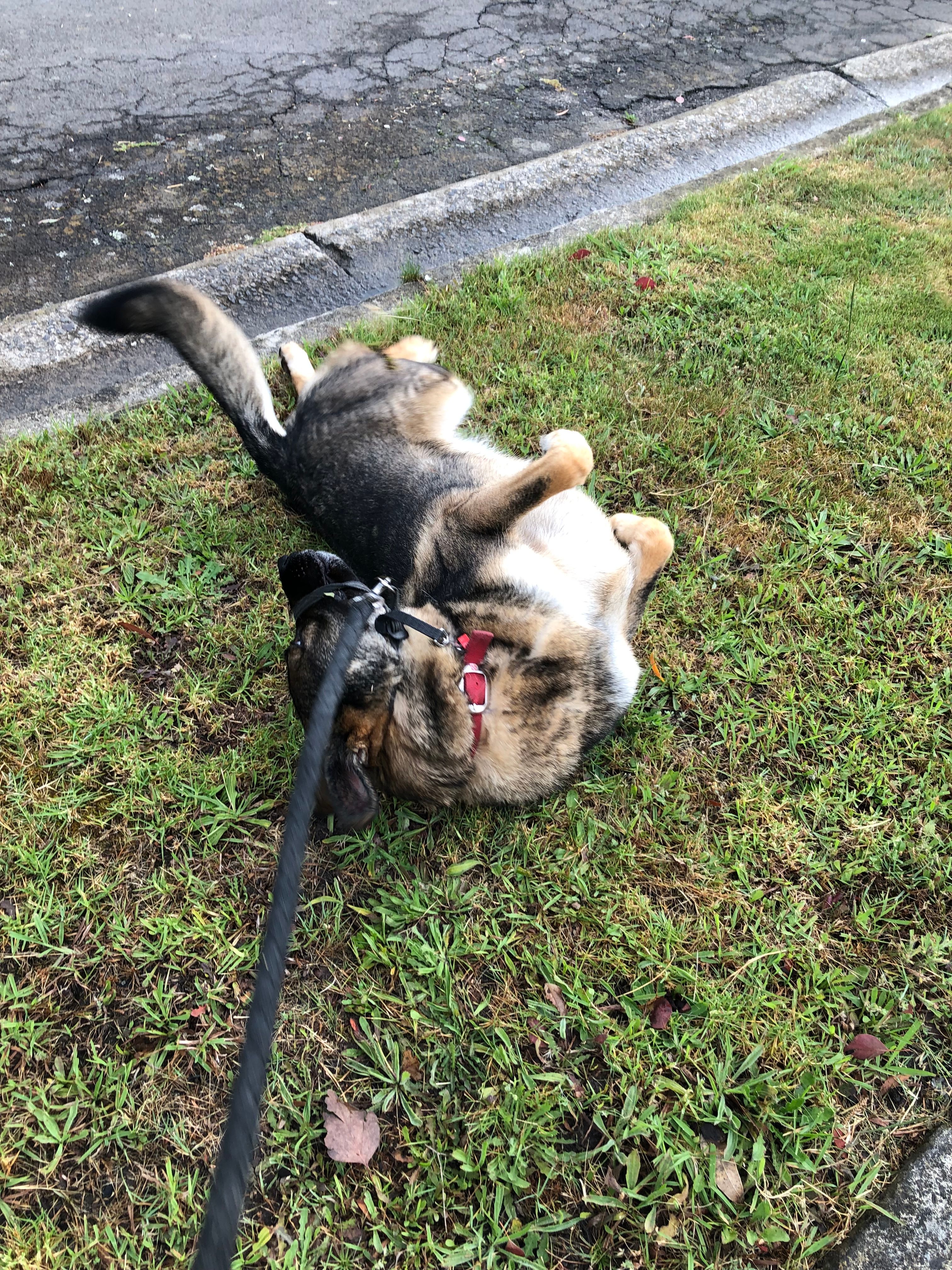 image-9