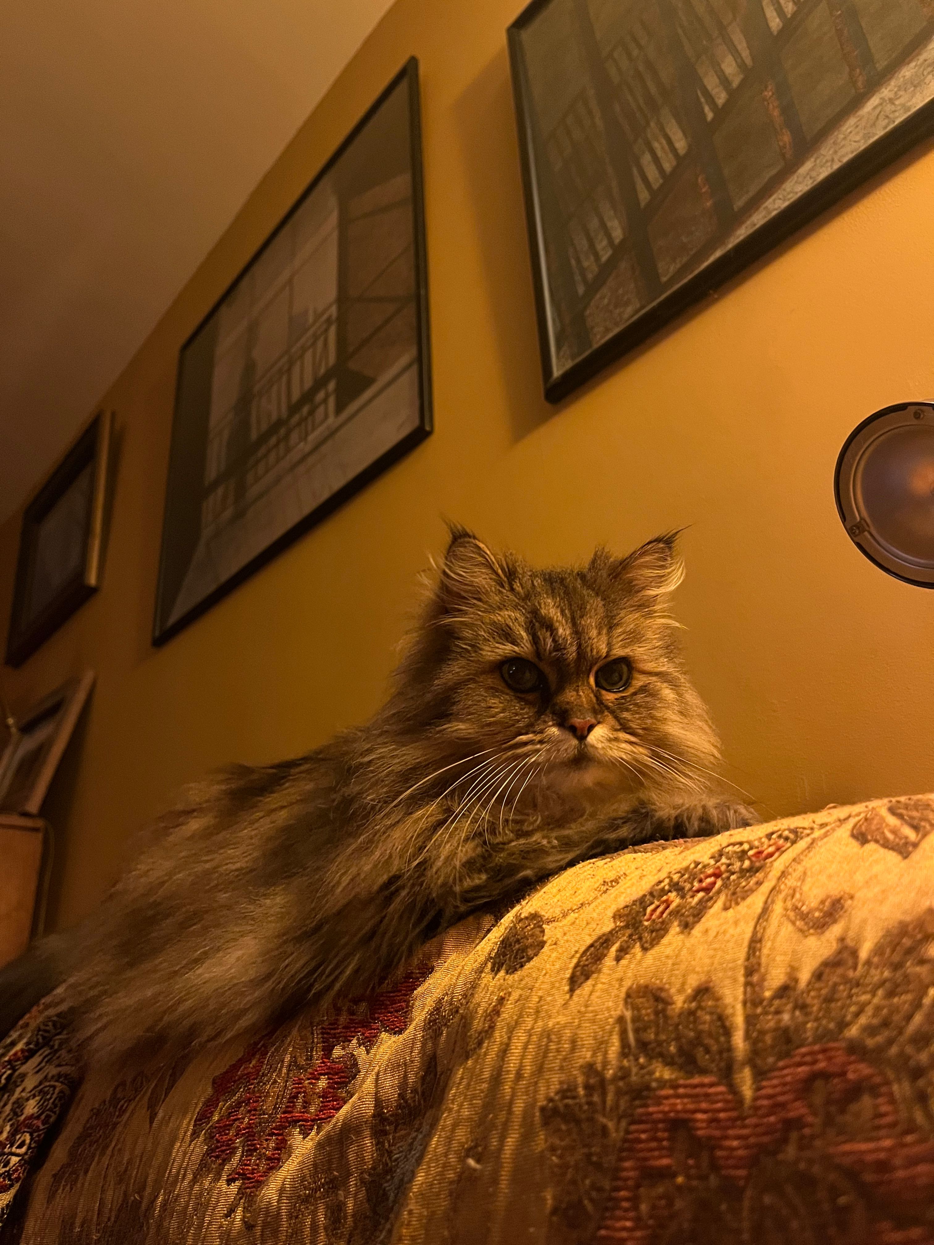 image-8