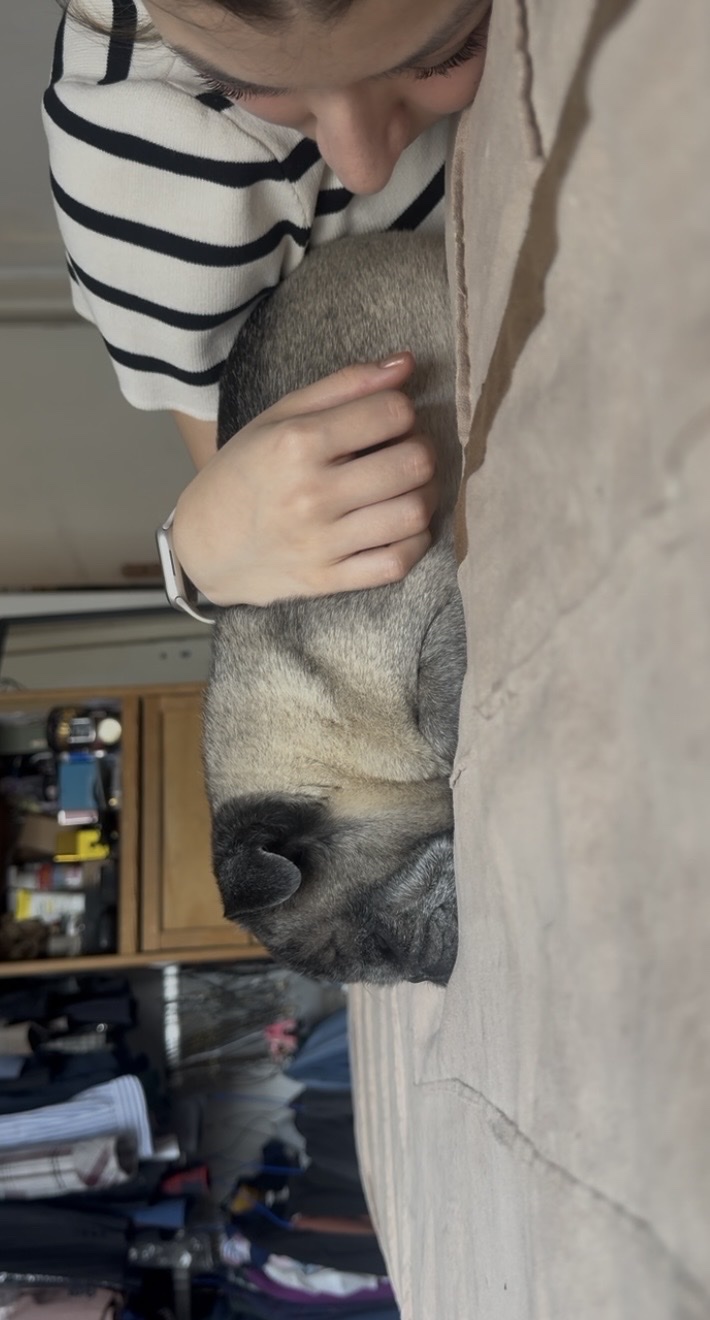 image-8