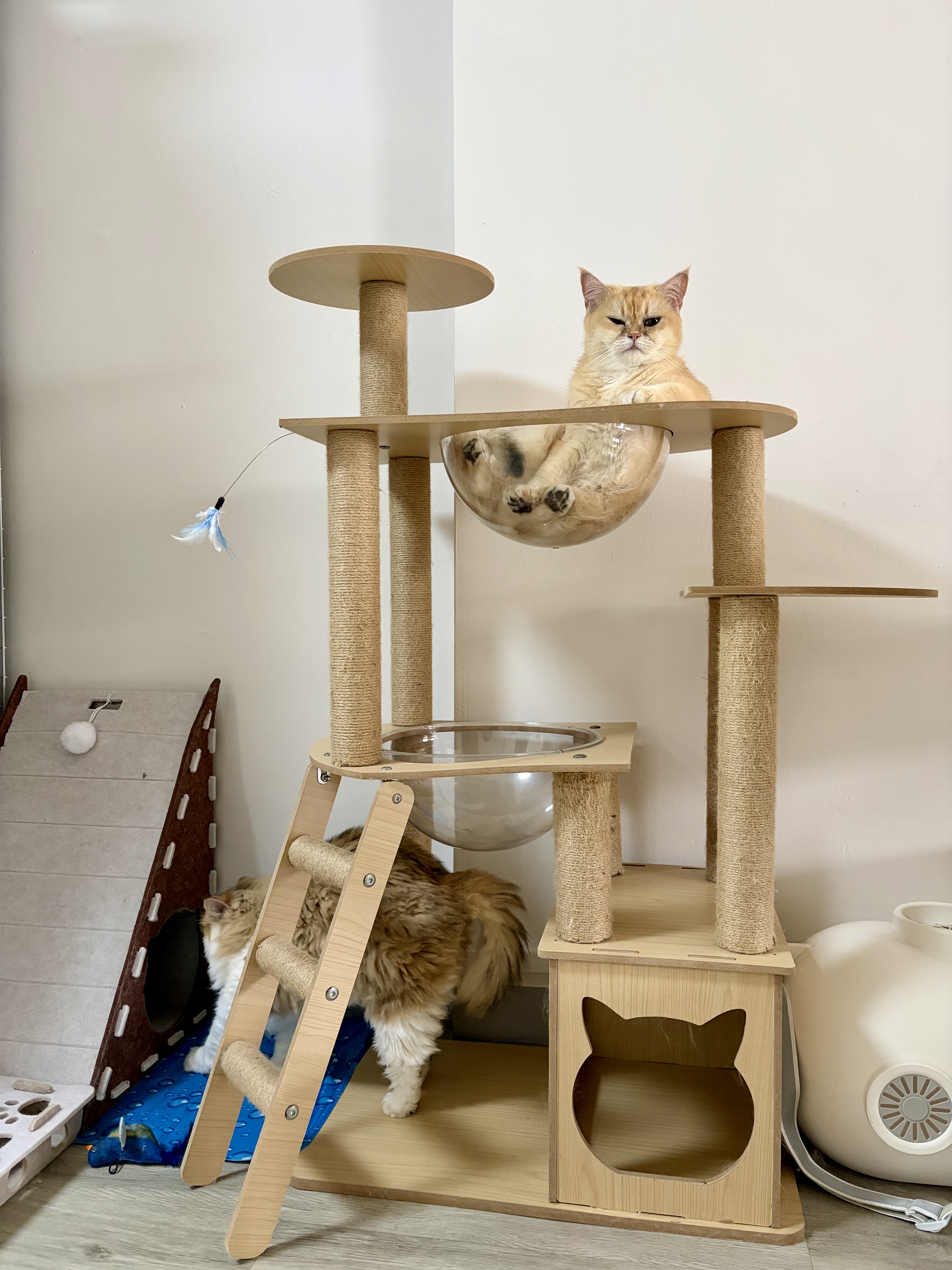 image-9