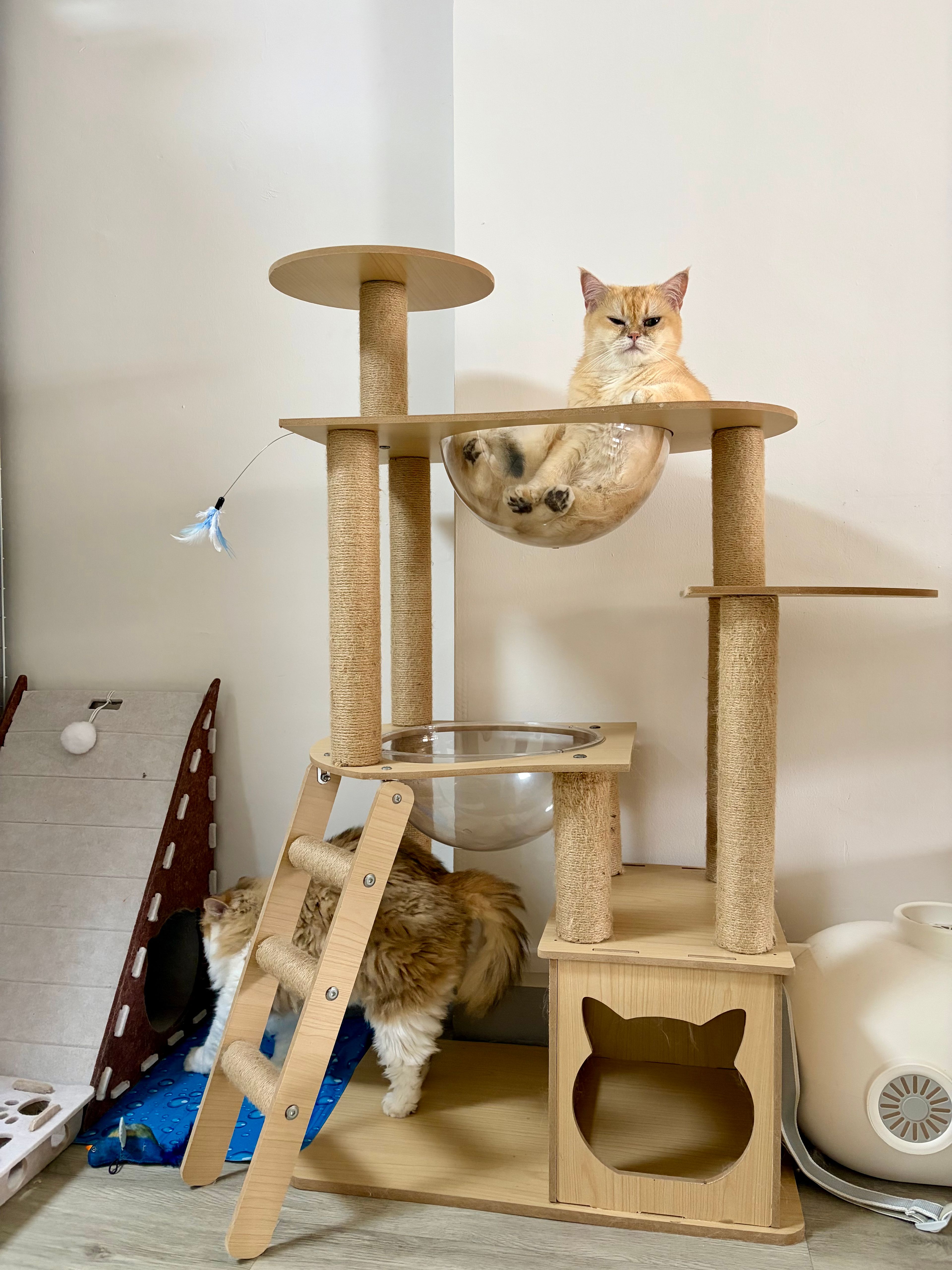 image-9