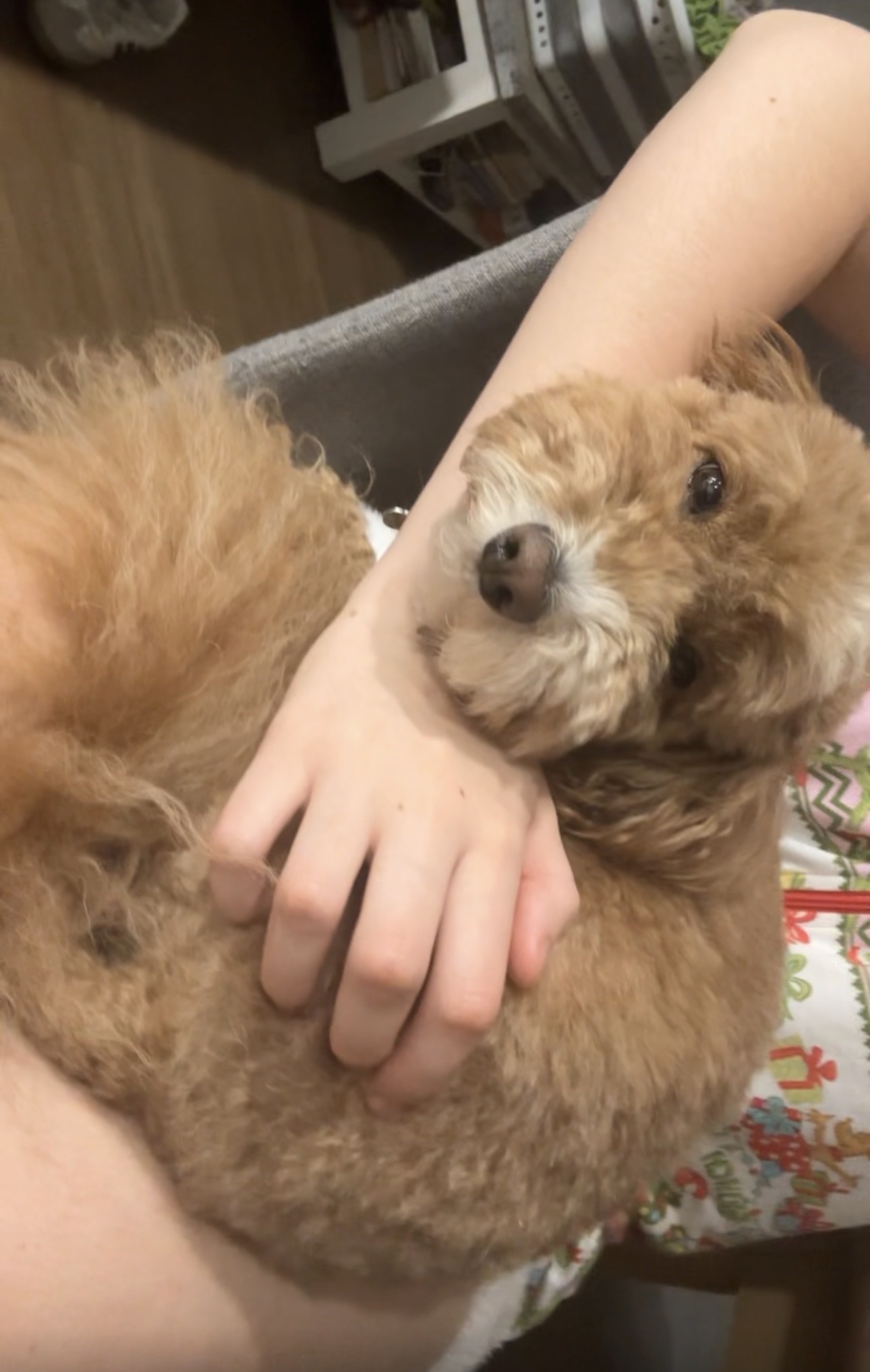 image-6