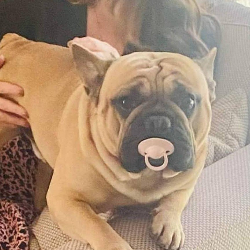 Frankie