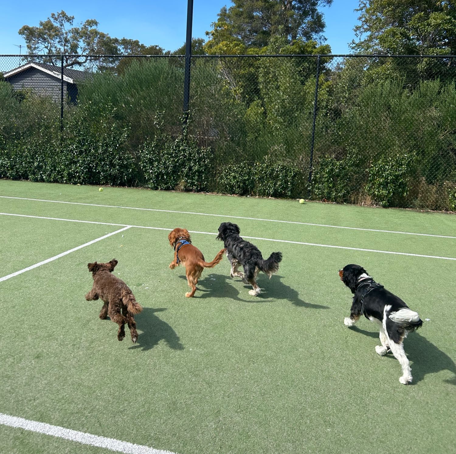 image-49