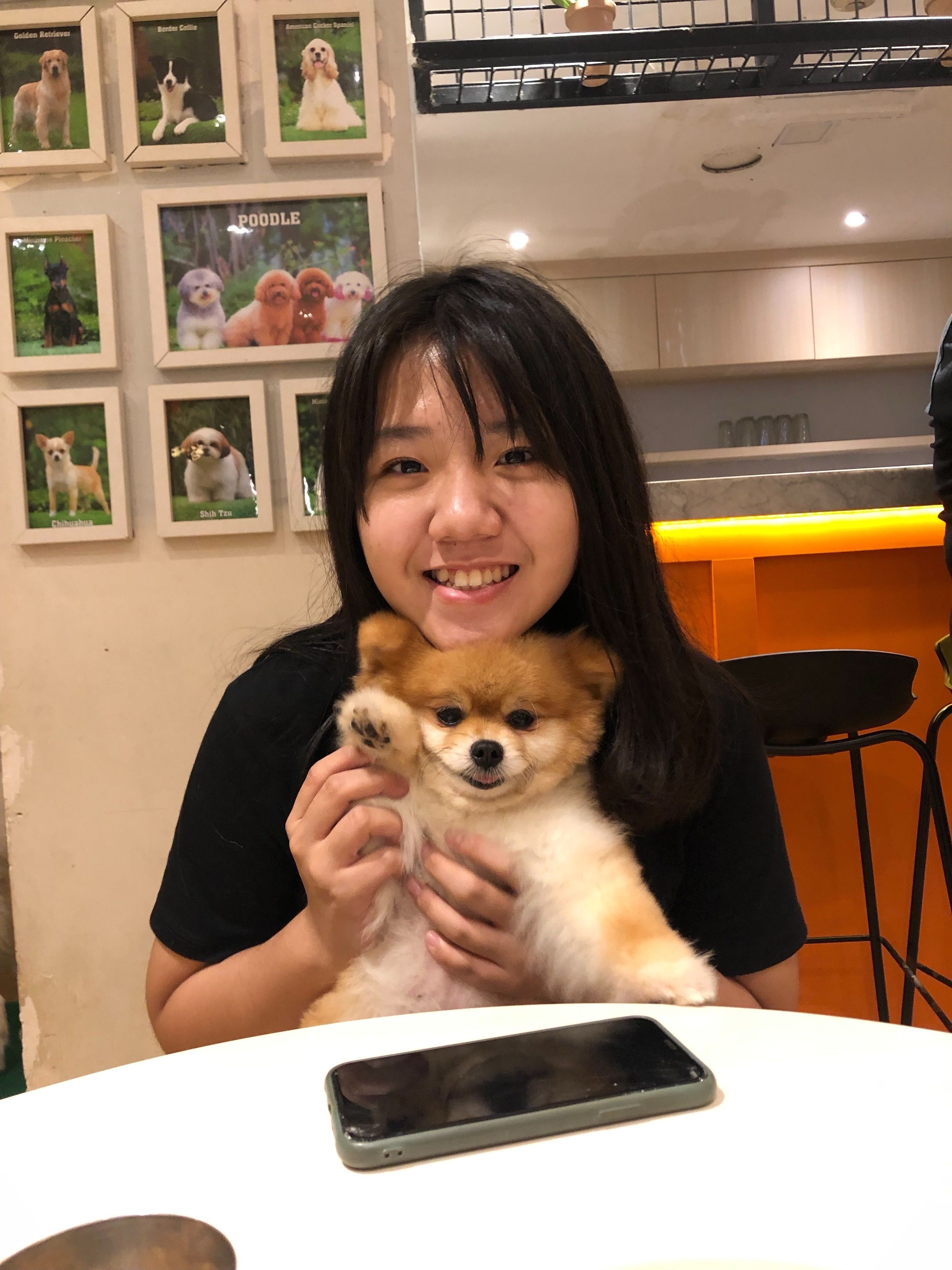 image-4