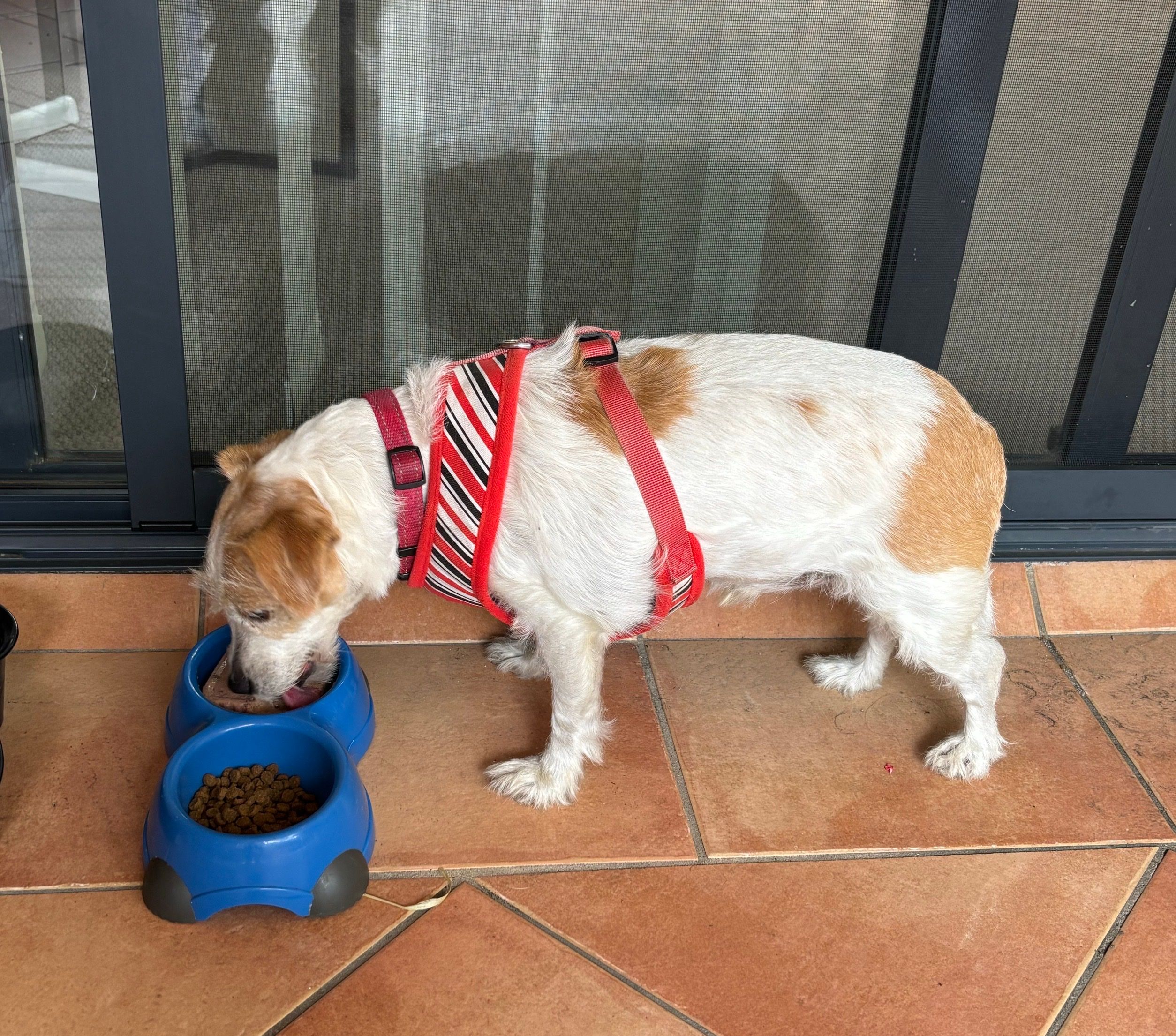 image-6