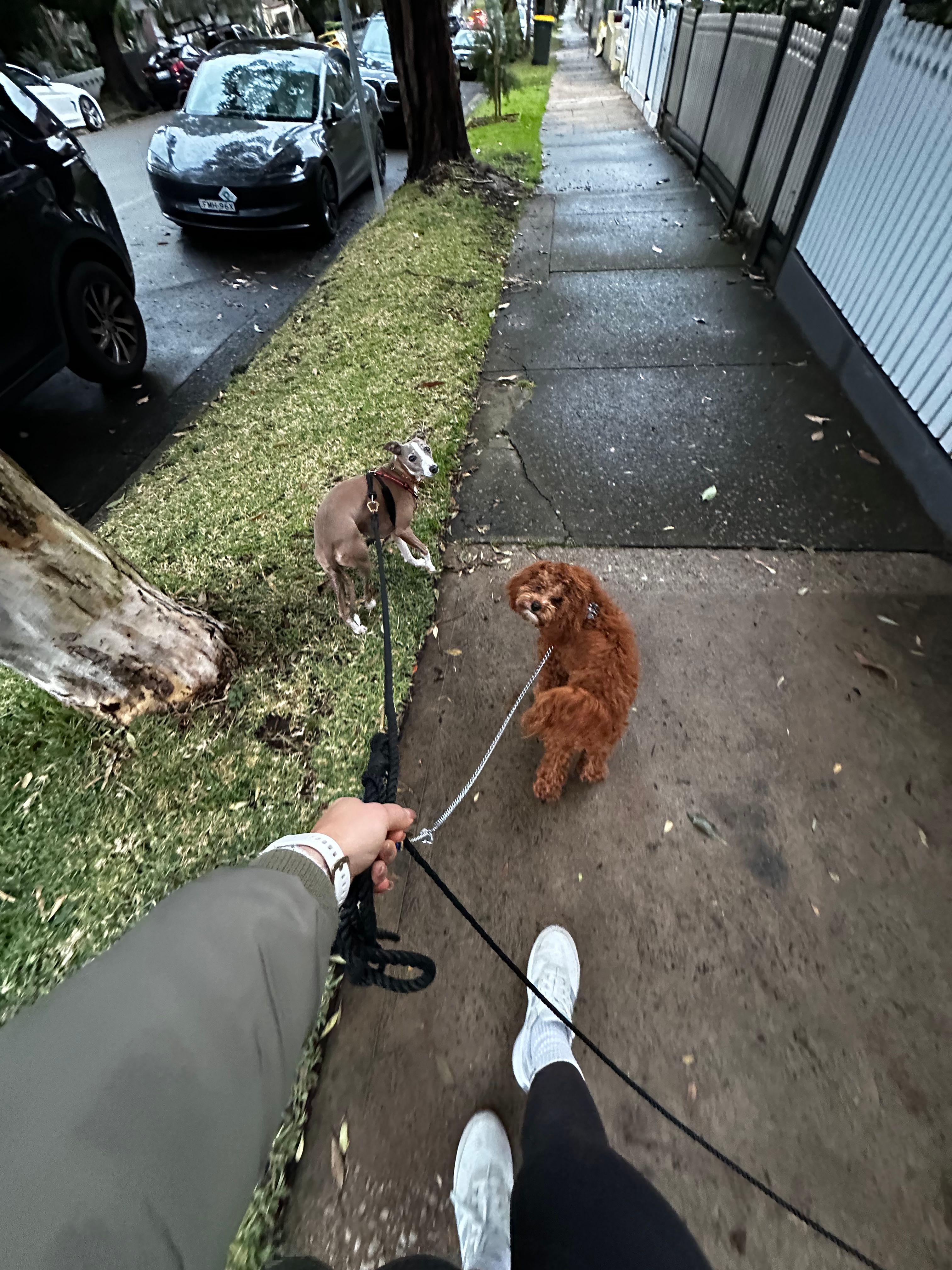 image-14