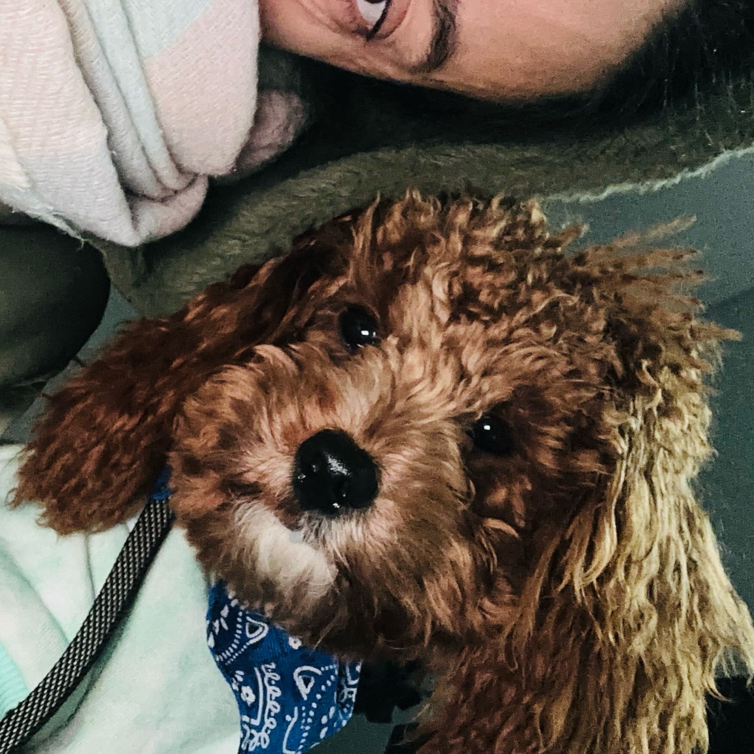 Bobby