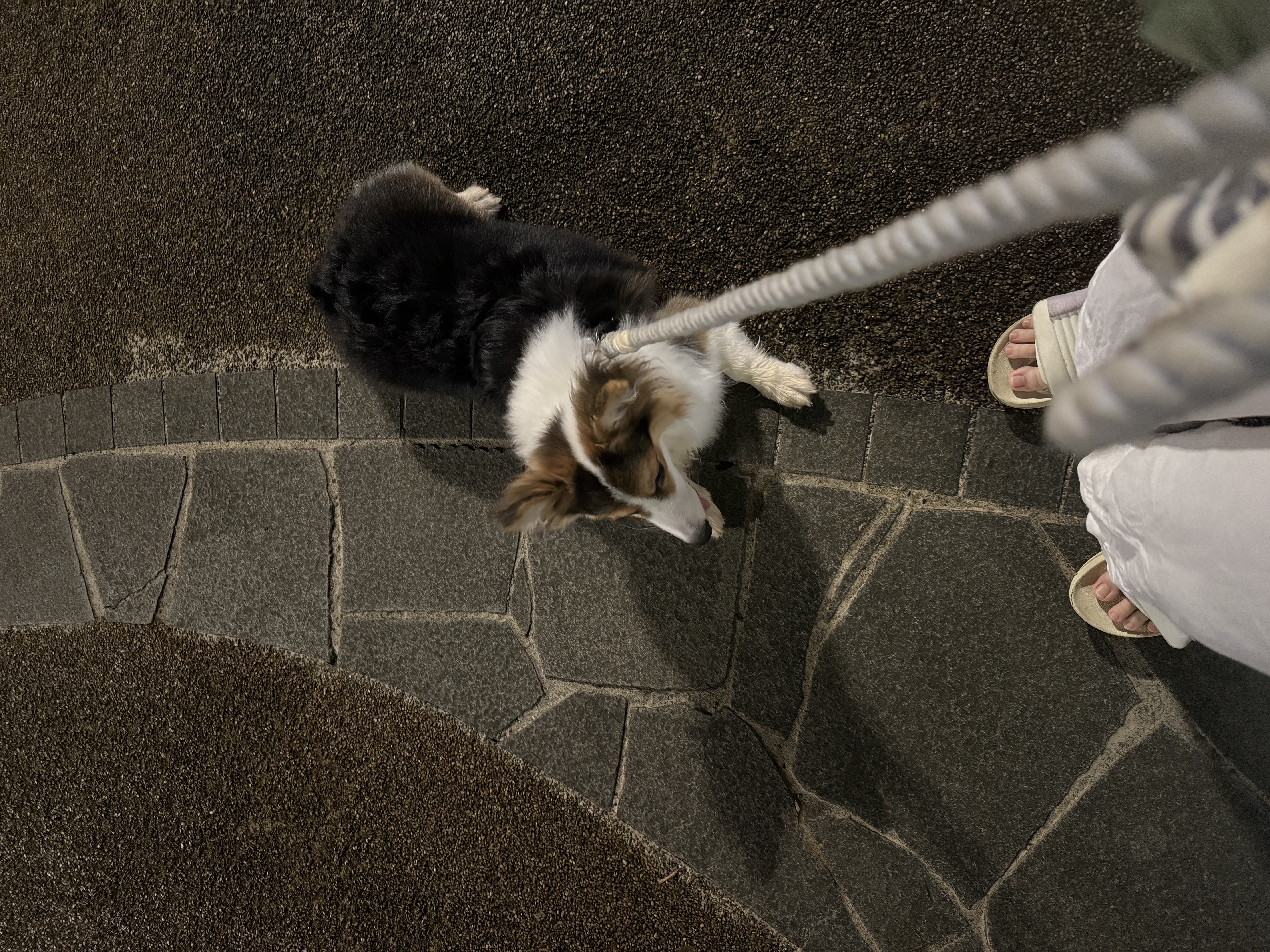 image-8
