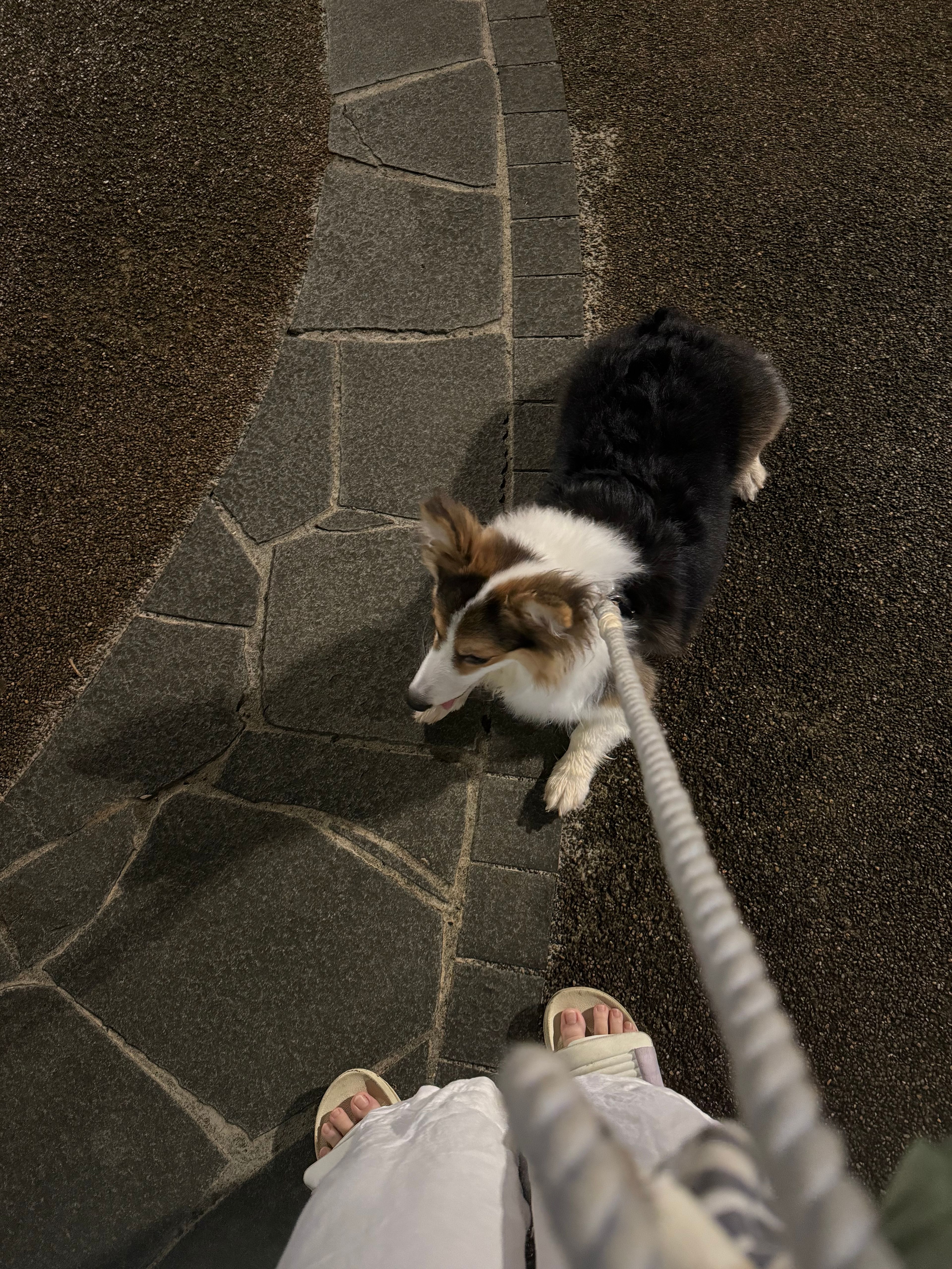 image-8