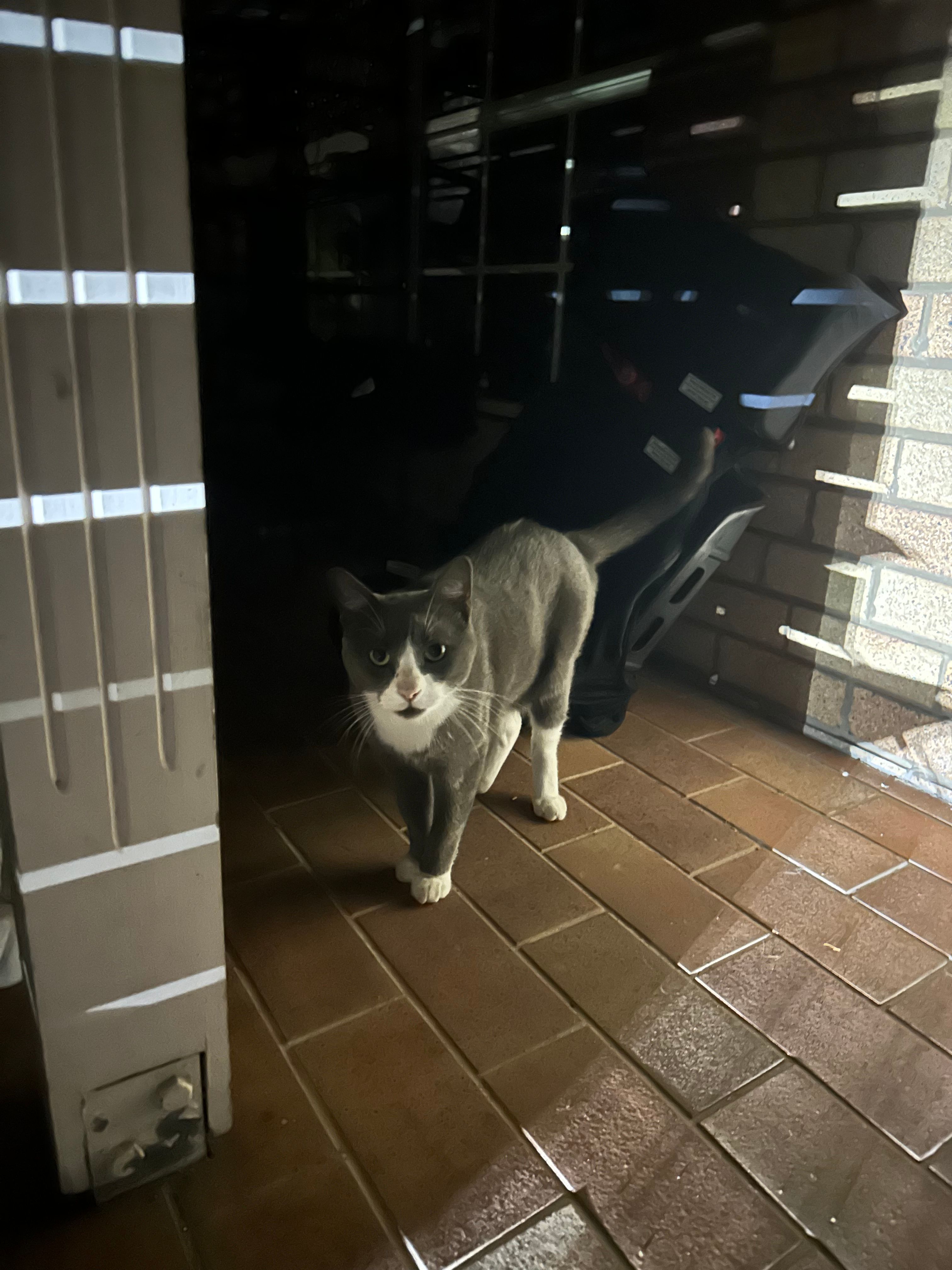 image-6