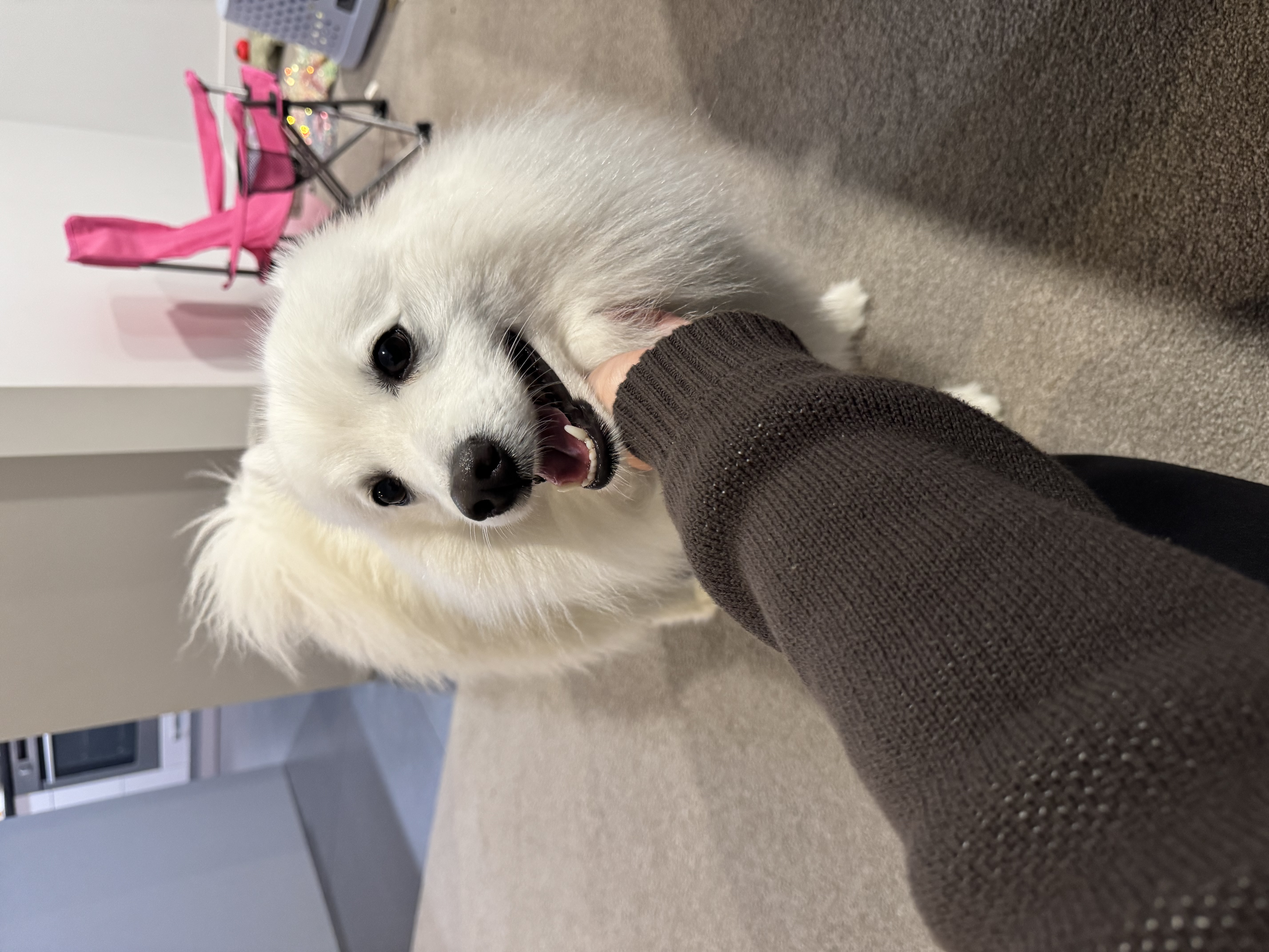 image-7