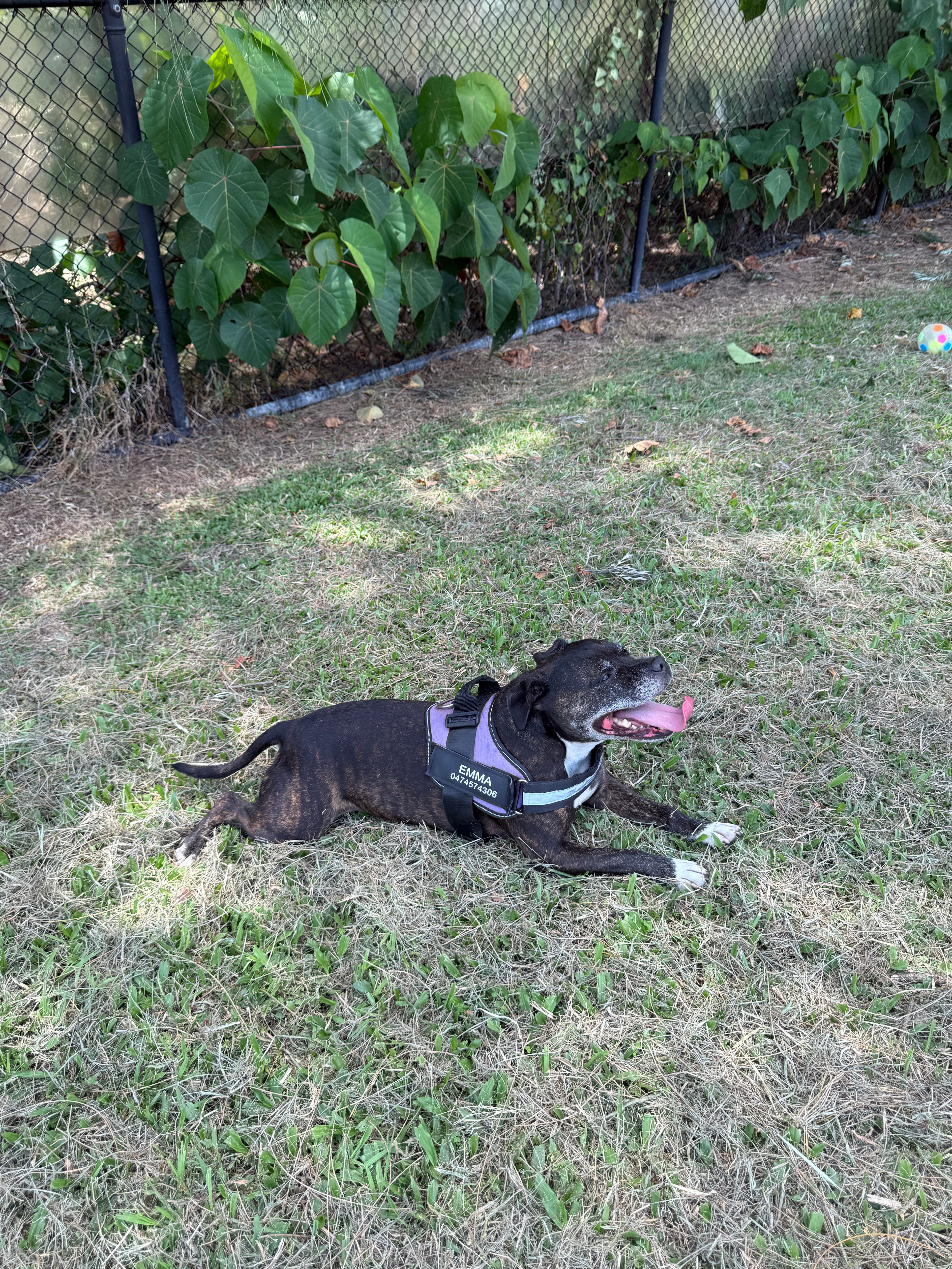 image-17
