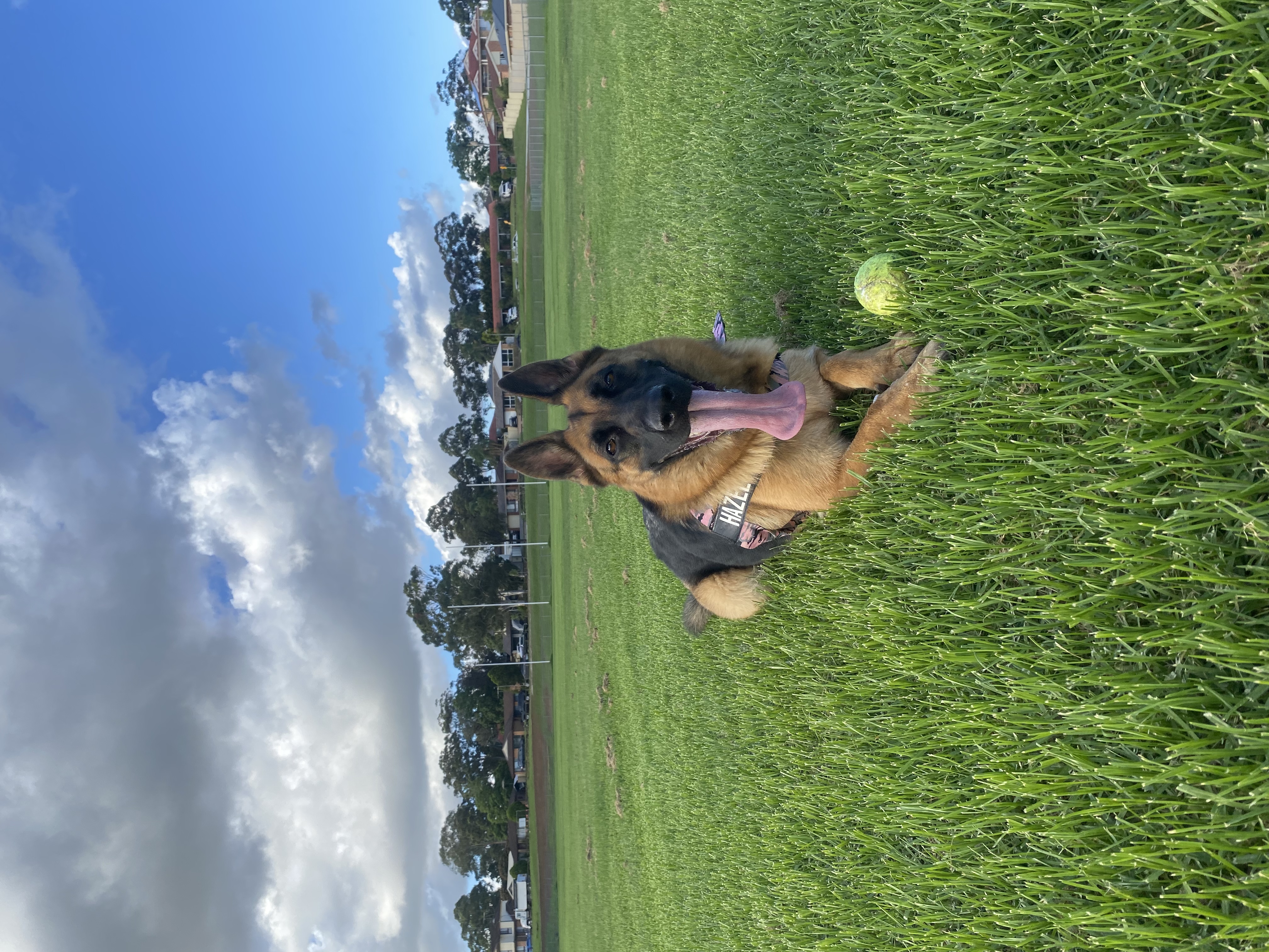 image-3