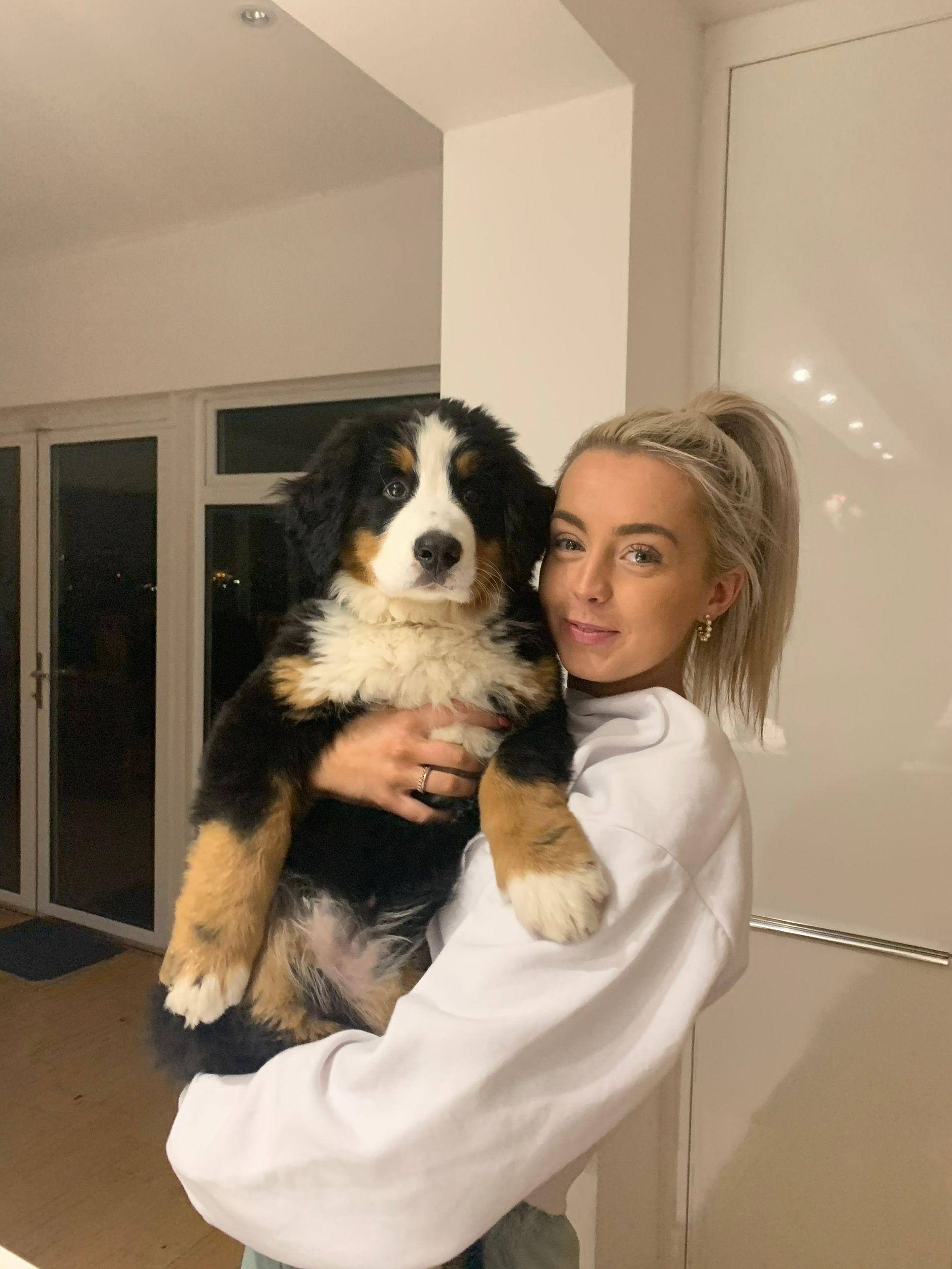 image-7