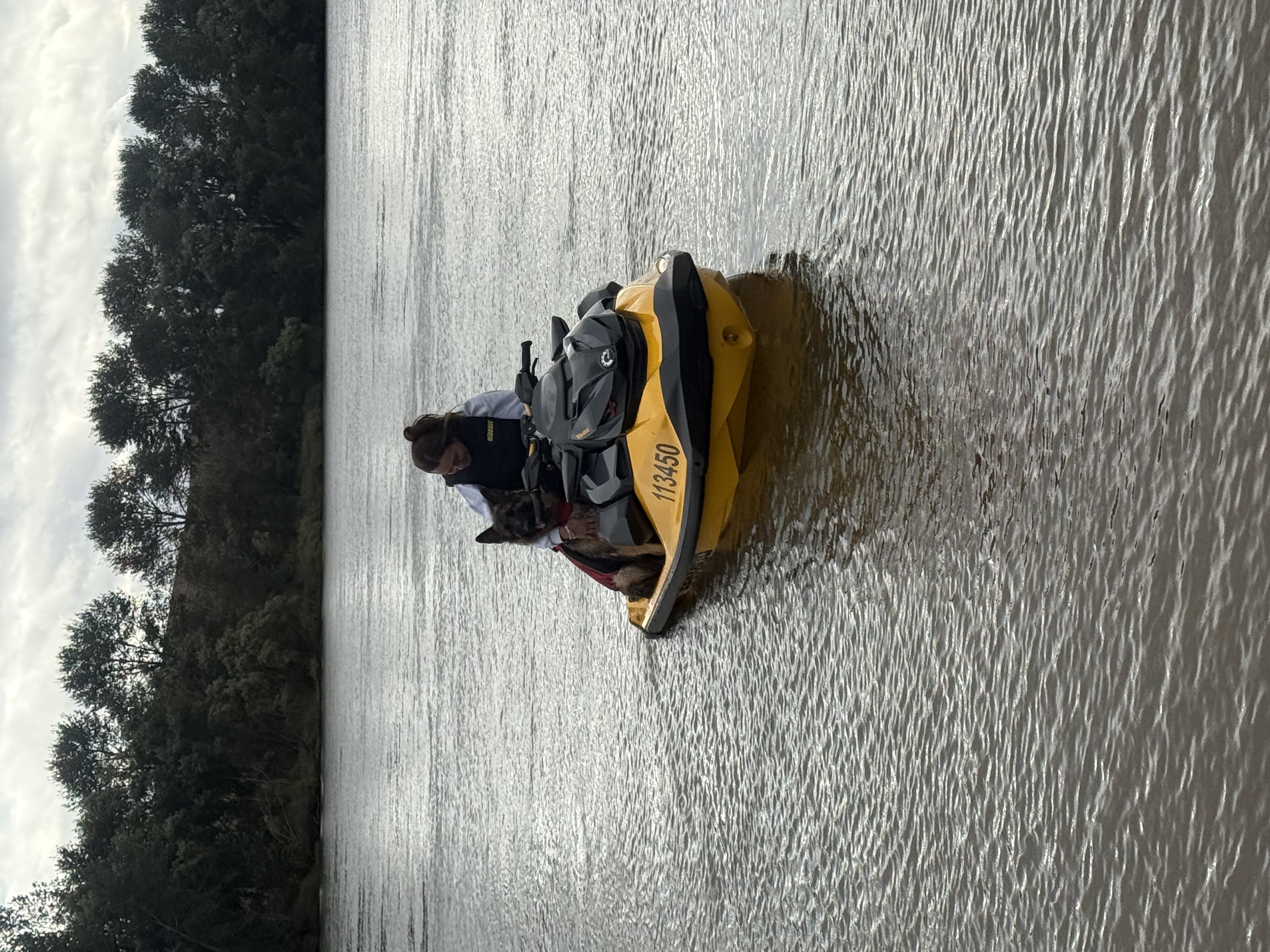 image-3