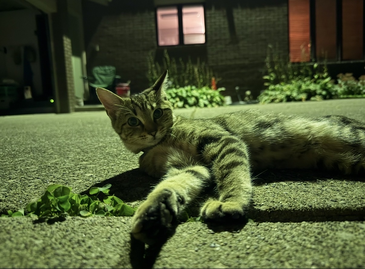 image-8