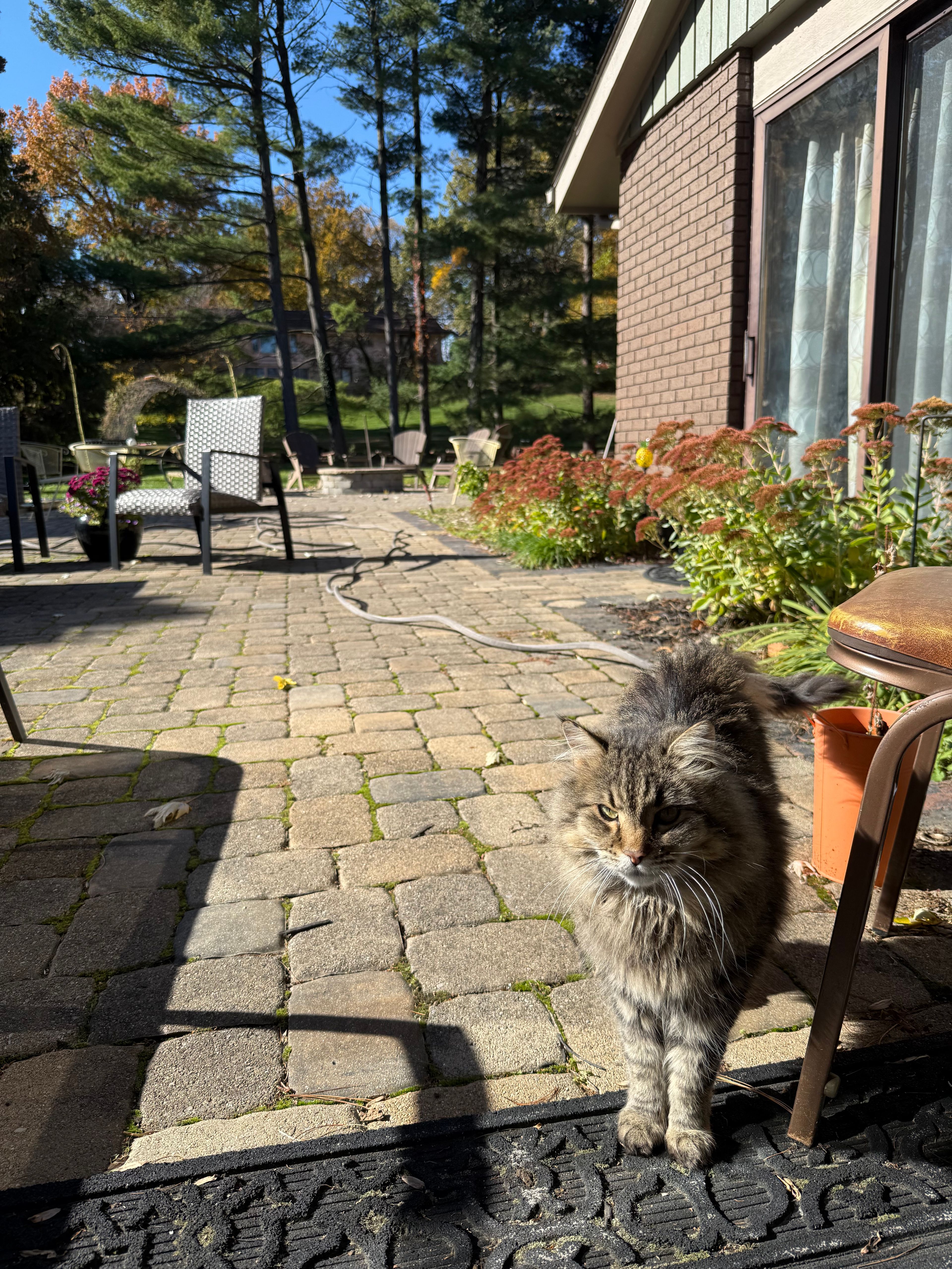 image-7
