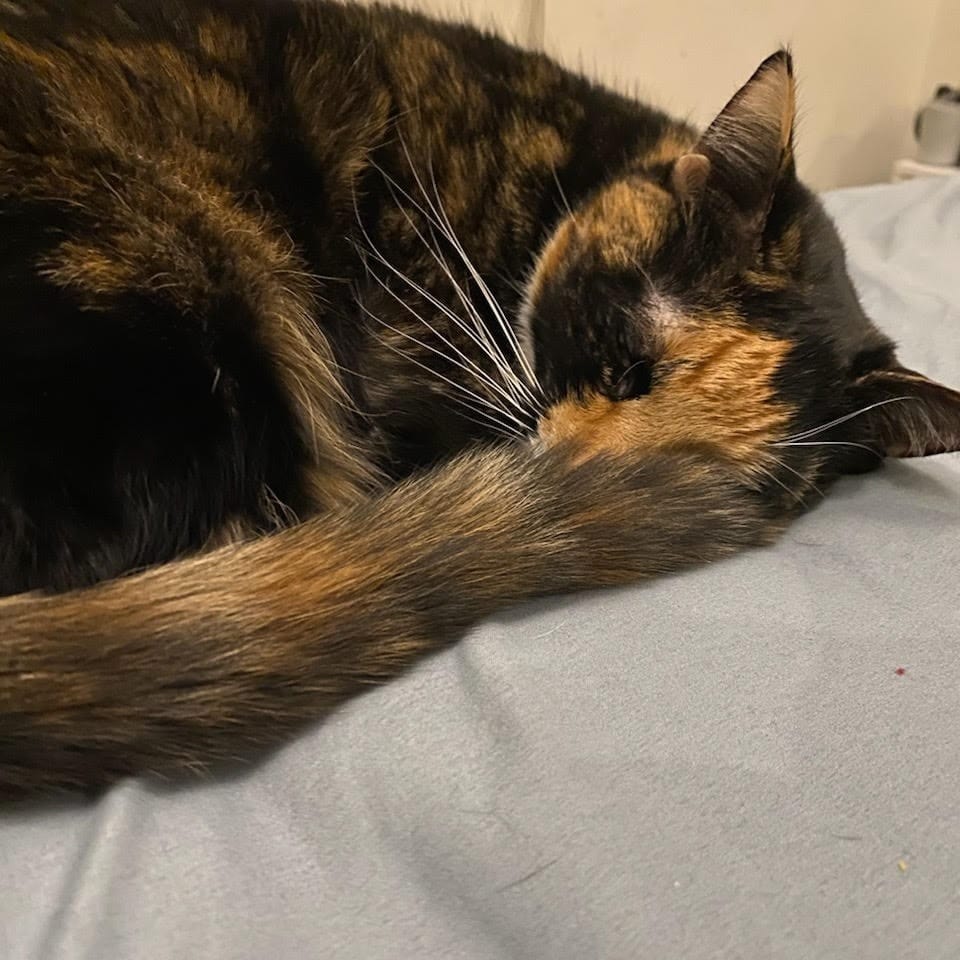 Nala