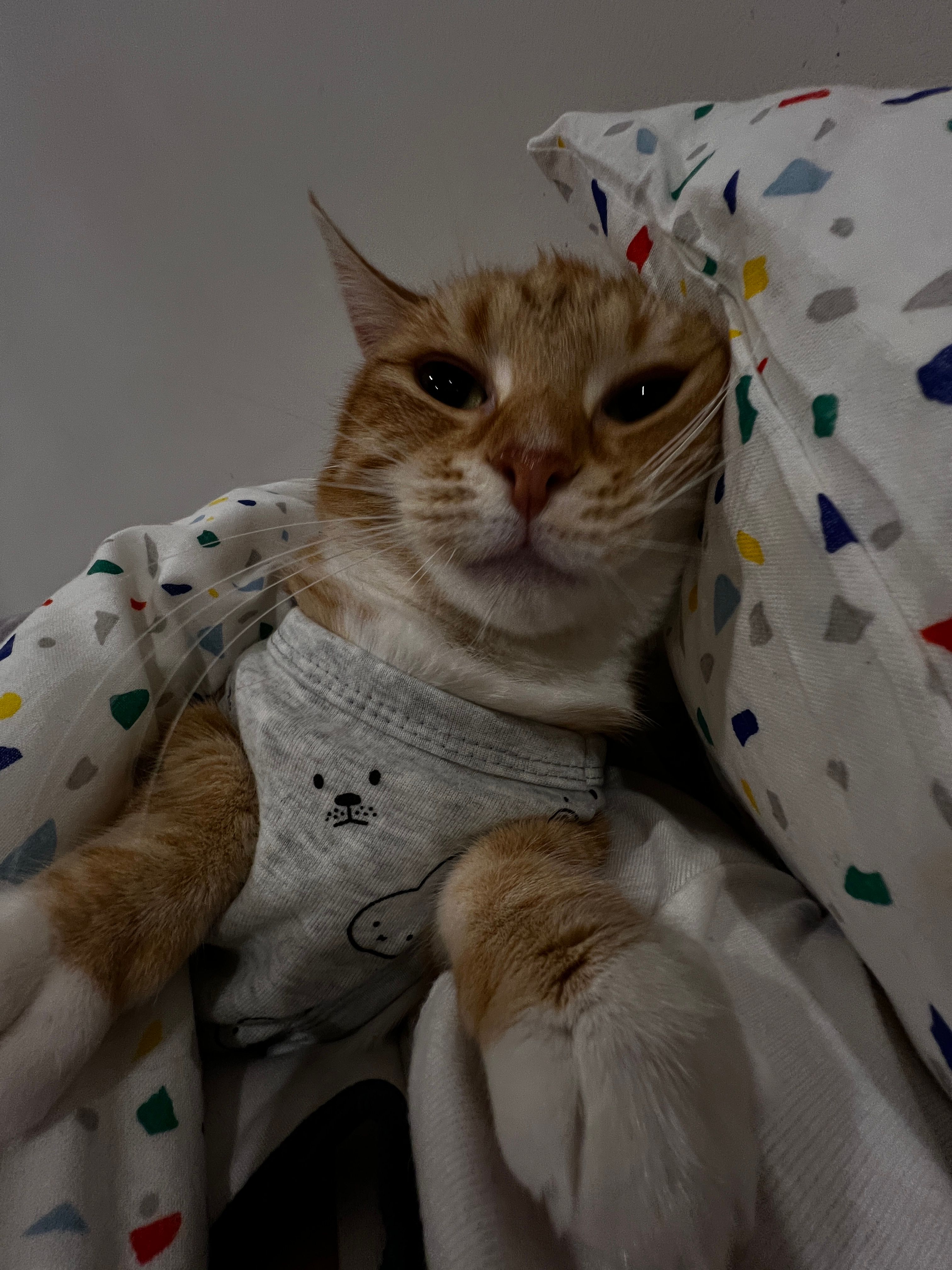 image-8