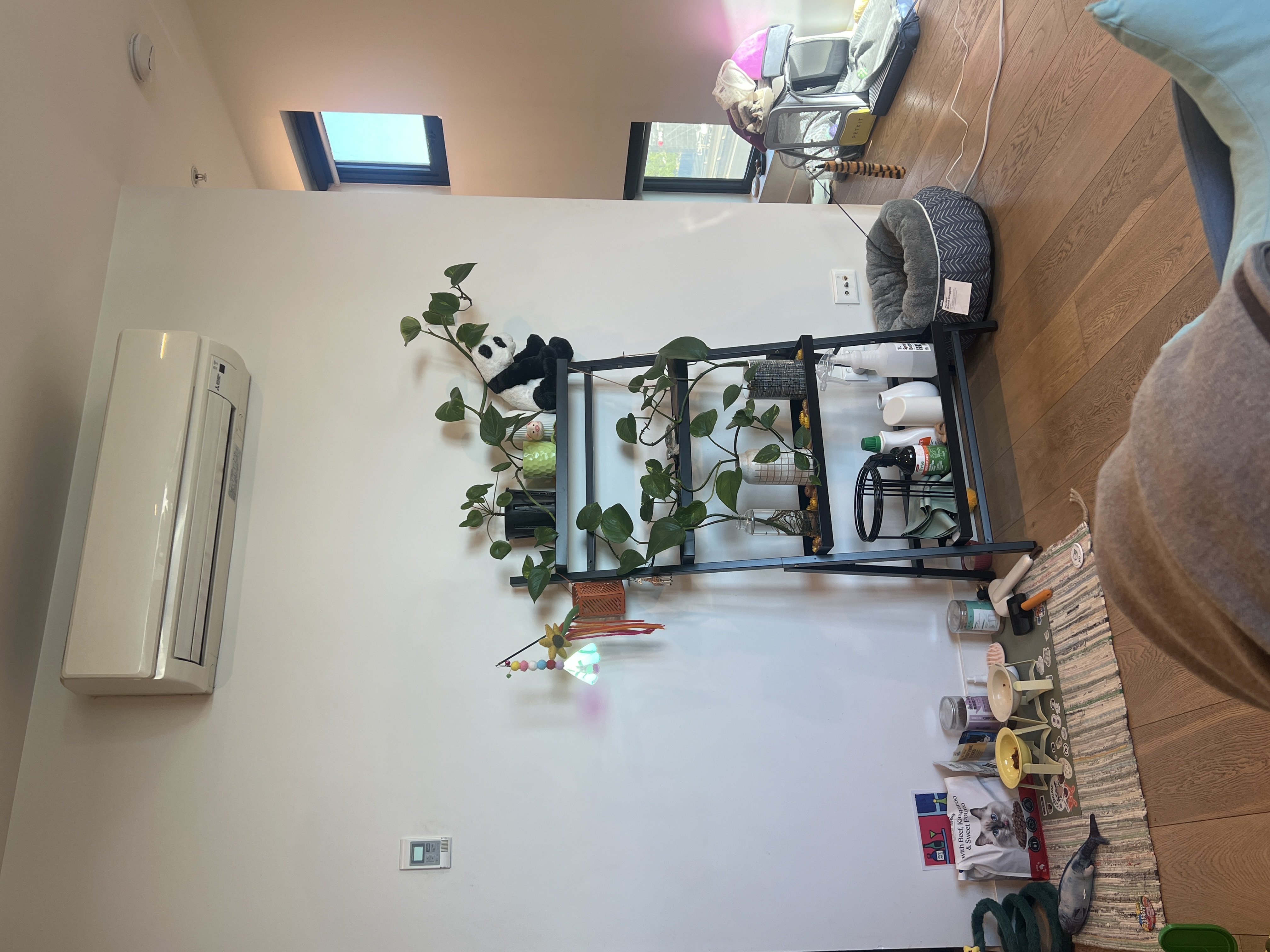 image-18