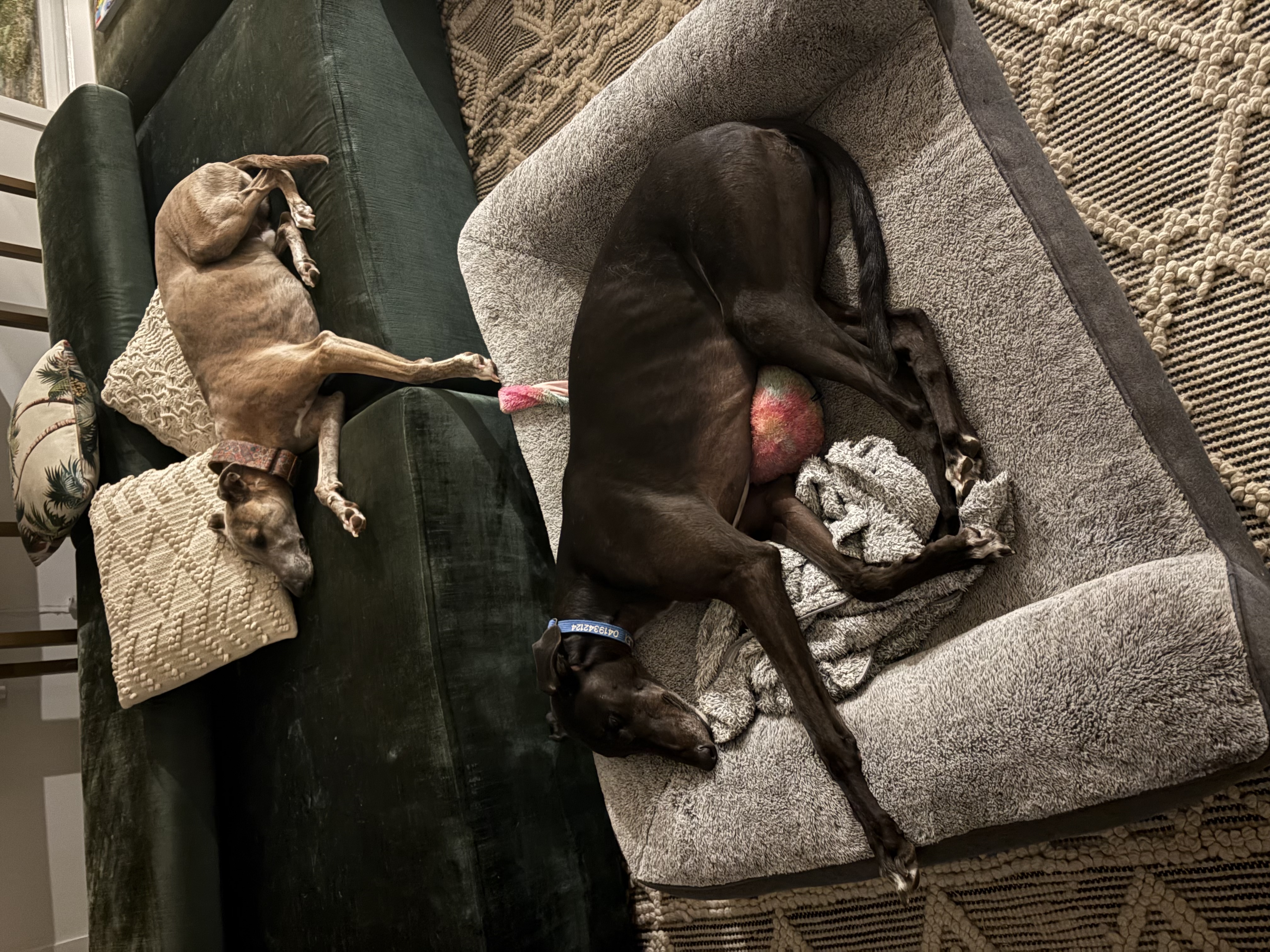 image-23
