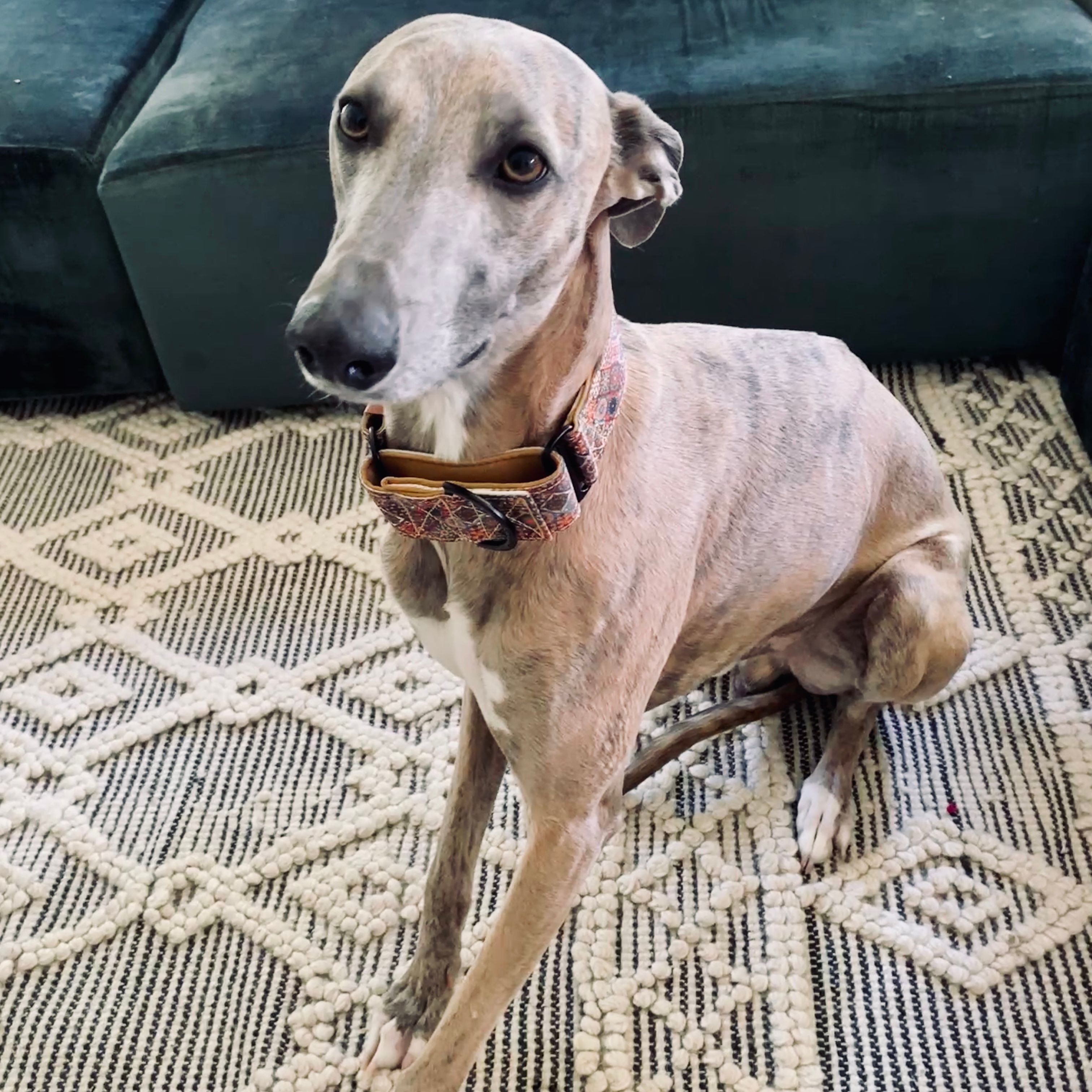 Crumpet