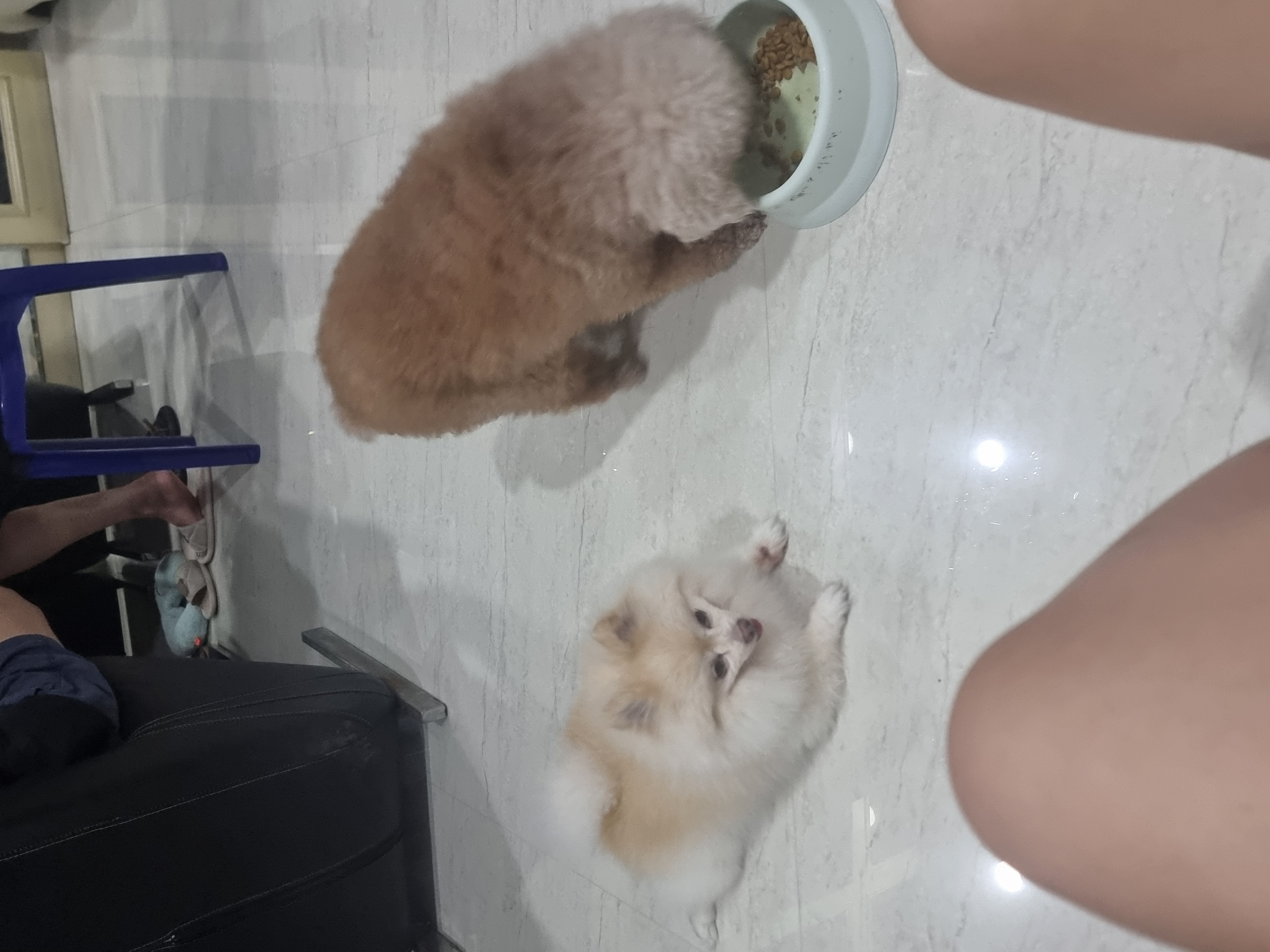 image-9