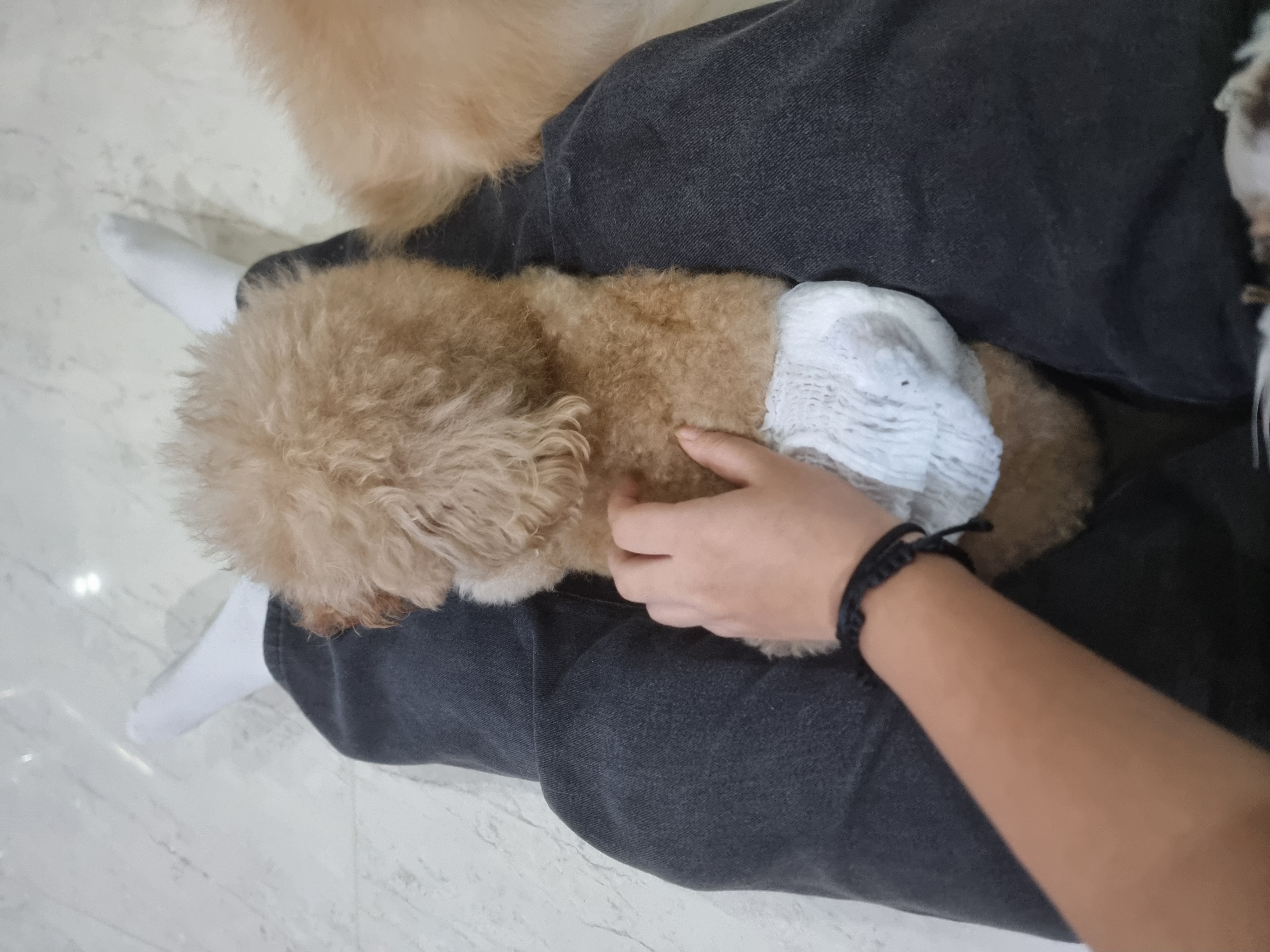 image-3