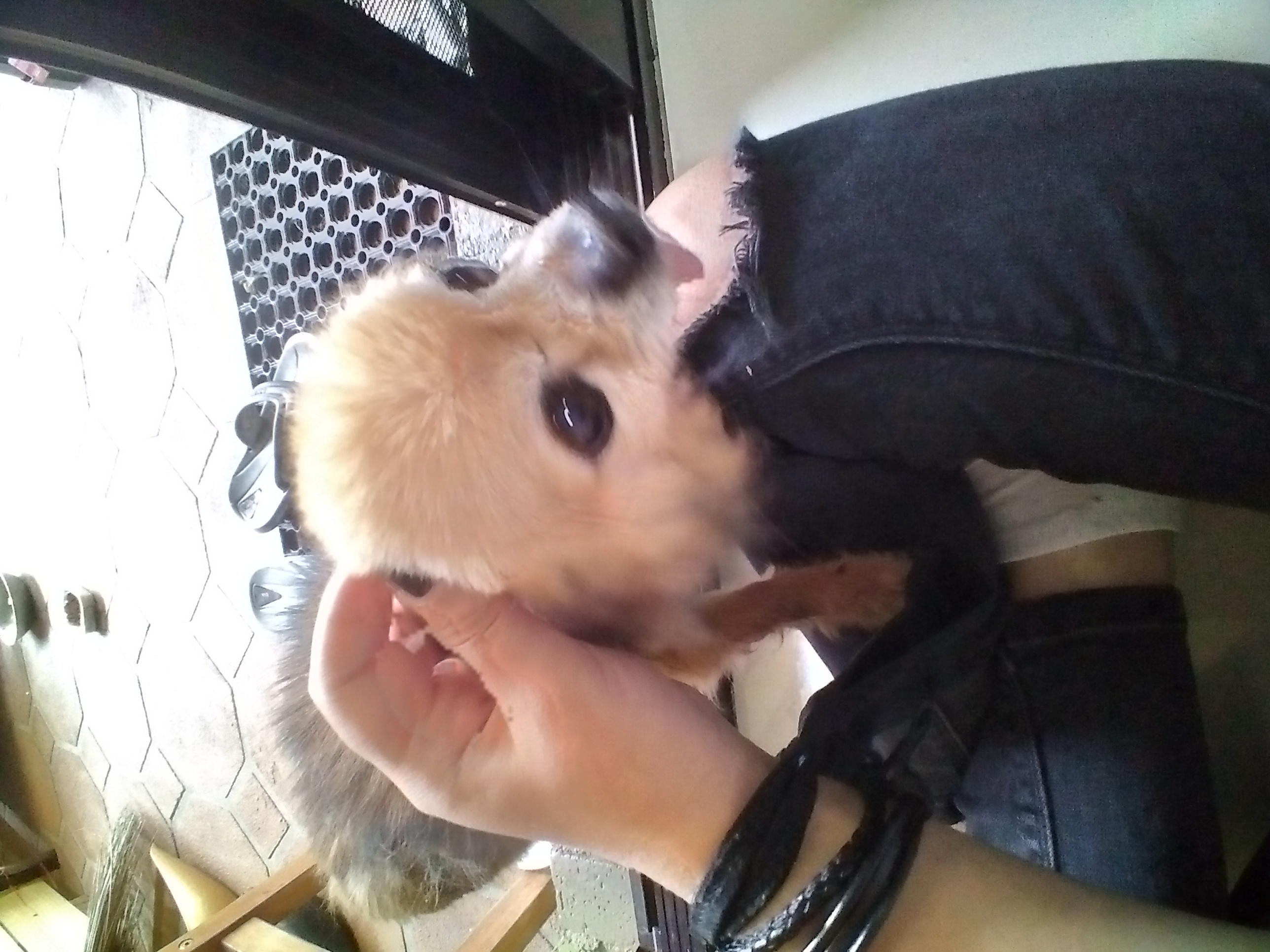 image-7