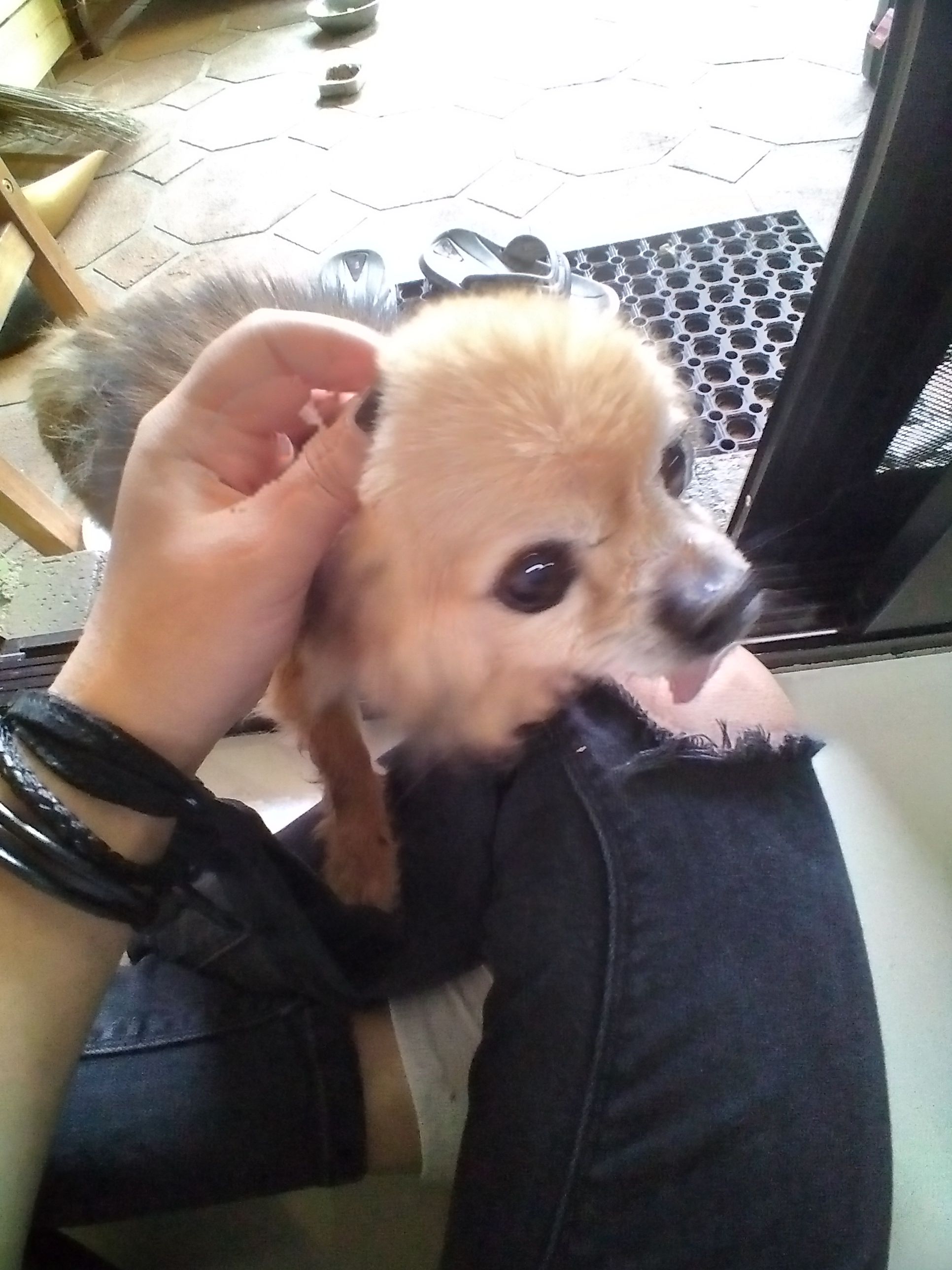 image-7