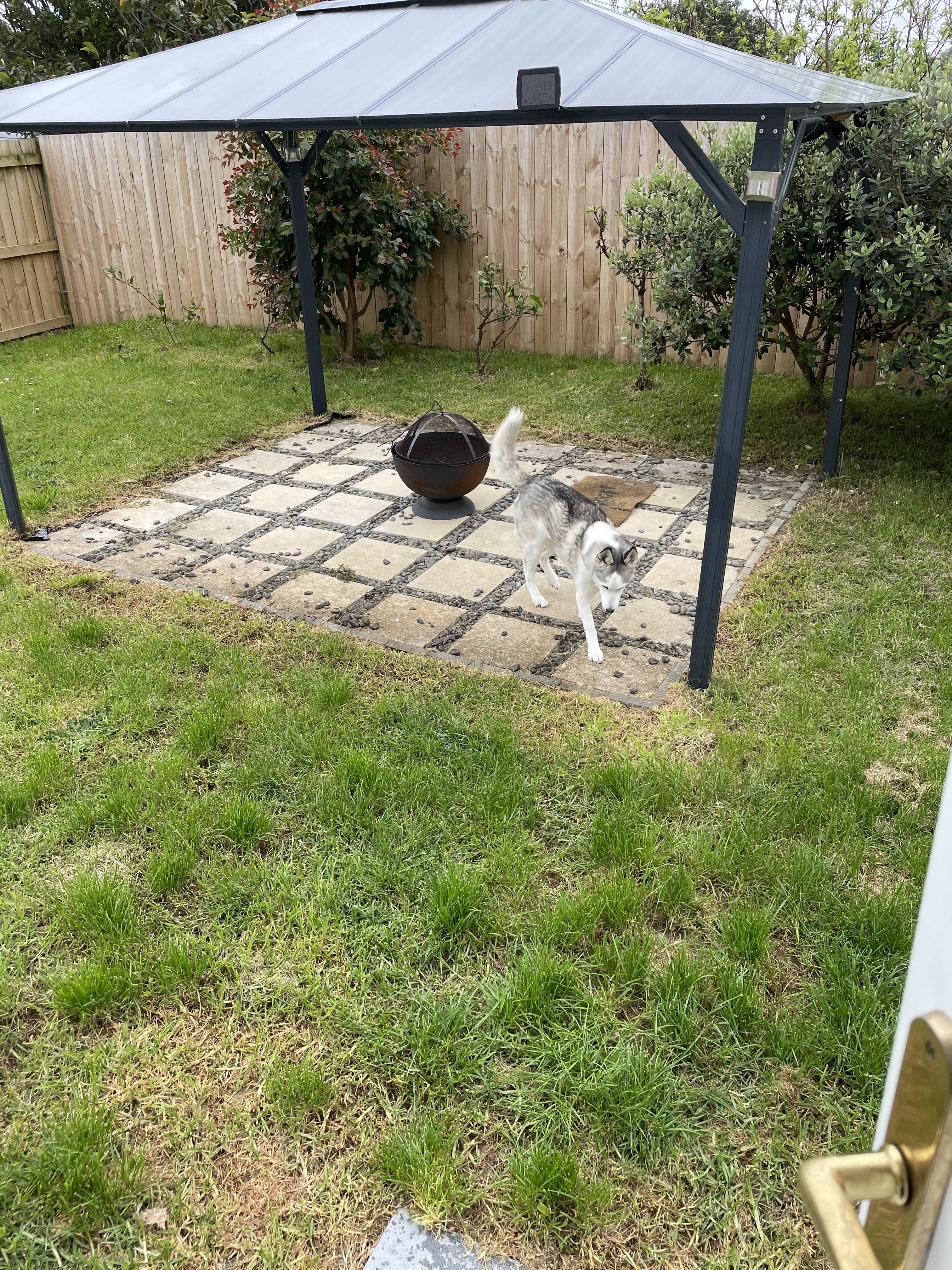 image-6