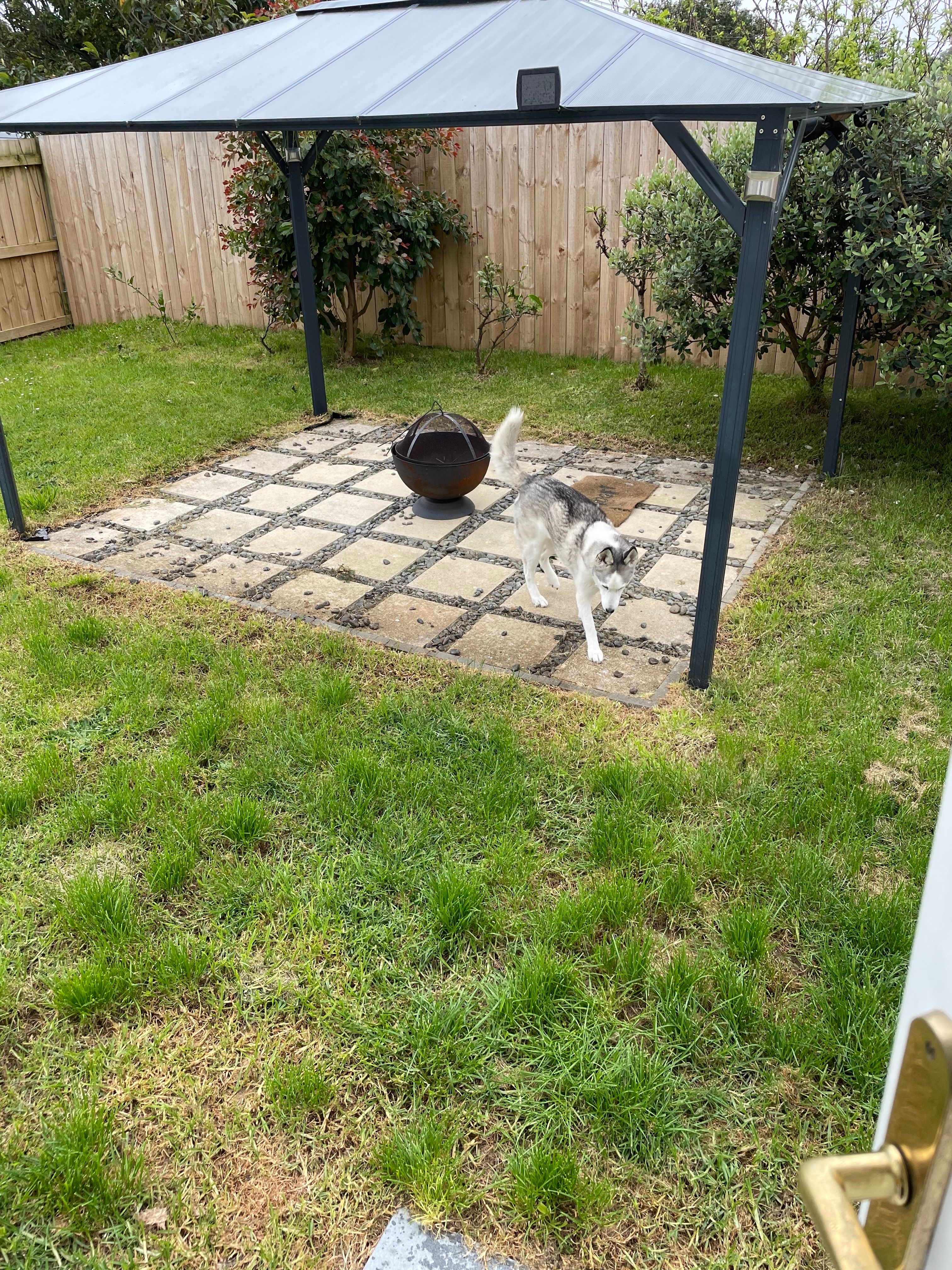 image-6