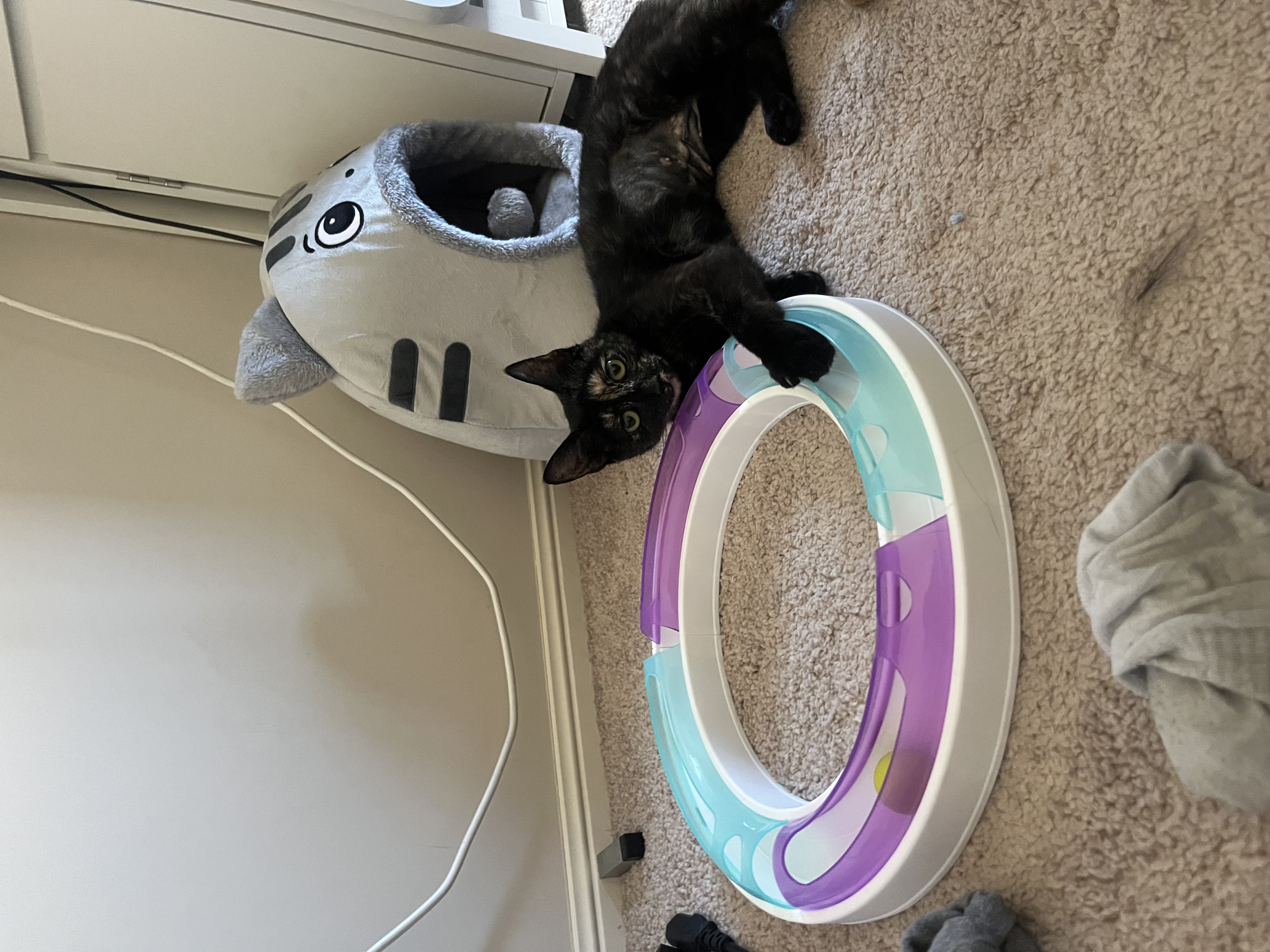 image-9